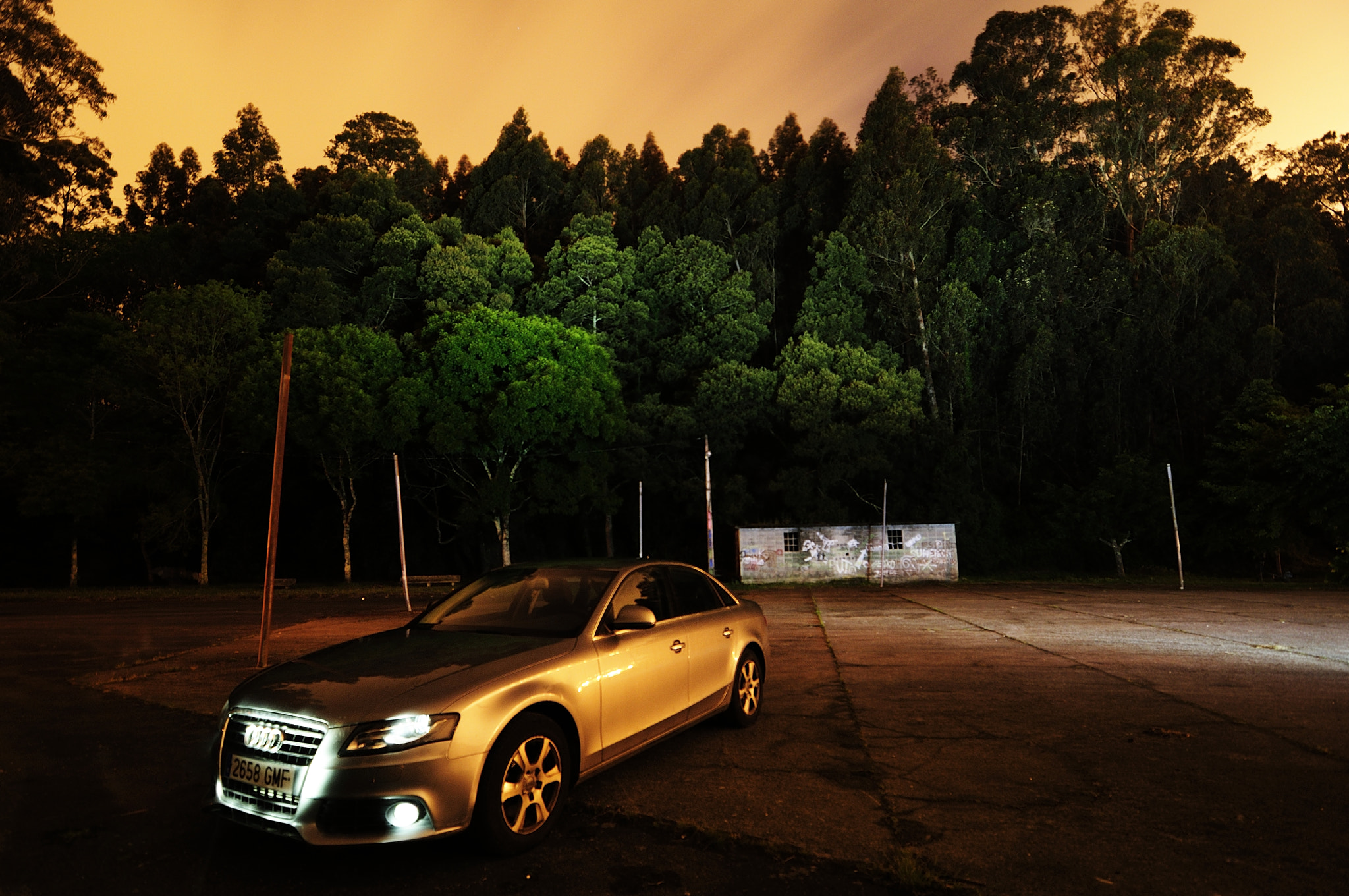 Nikon D300S sample photo. A4 photography