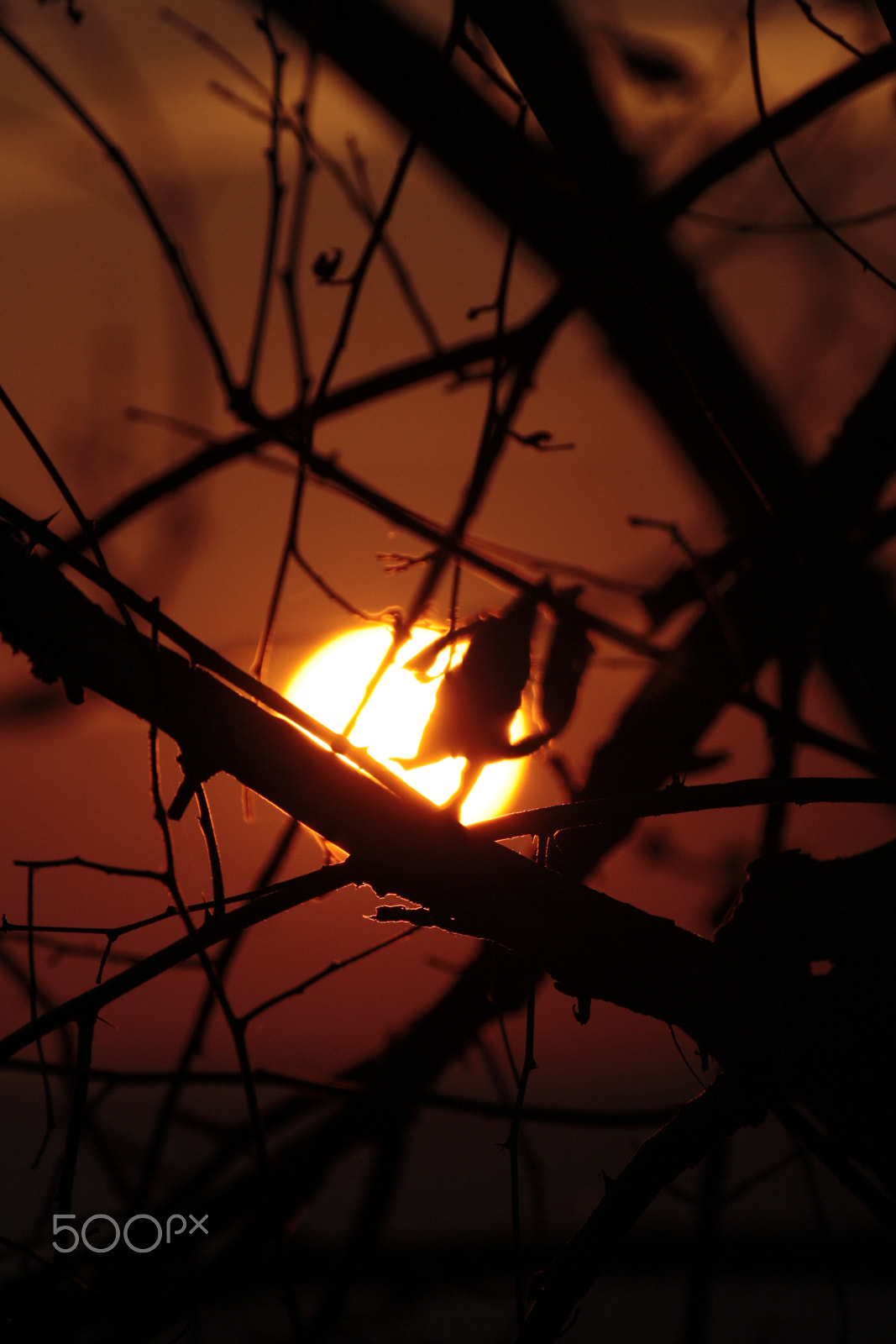 Tamron SP 35mm F1.8 Di VC USD sample photo. Sunset photography