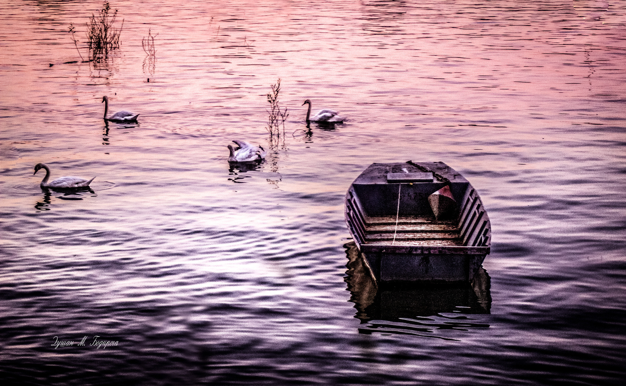 Canon EF 28-80mm f/3.5-5.6 sample photo. Zemunski kej photography