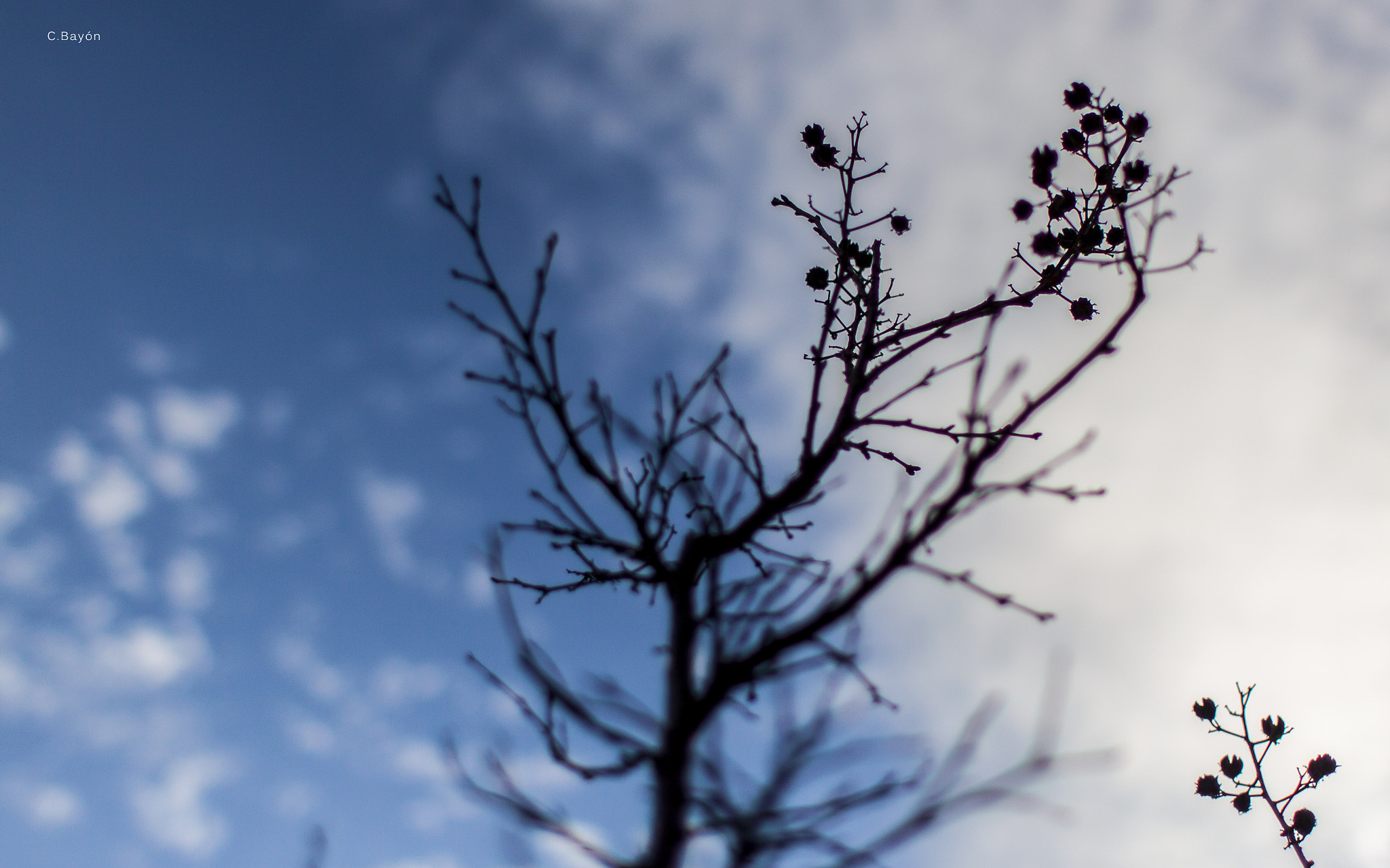Canon EOS 50D + Canon EF 28mm F1.8 USM sample photo. Focusing photography