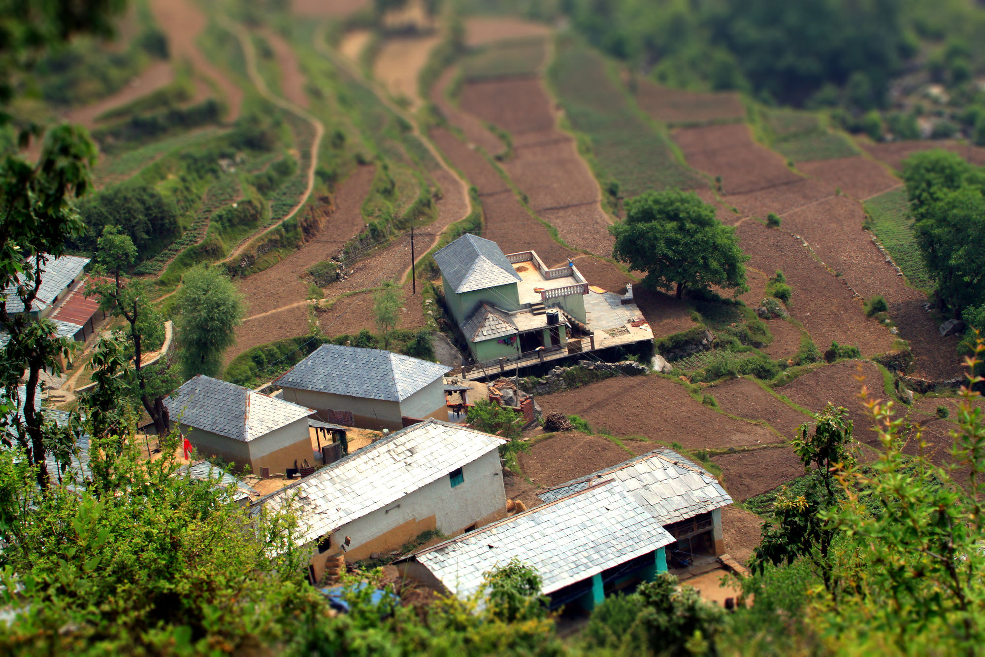 Canon EOS 500D (EOS Rebel T1i / EOS Kiss X3) sample photo. Nice village in himalaya  photography
