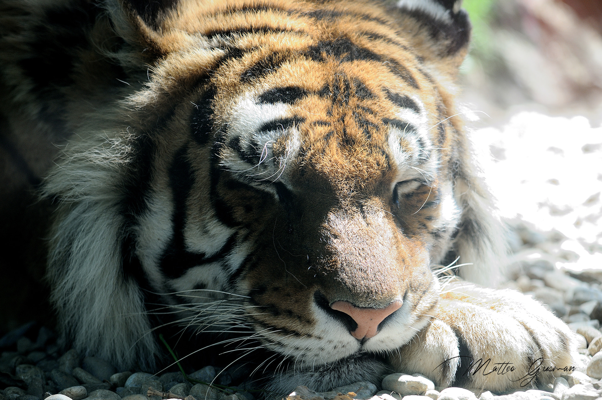 Sigma 50-150mm F2.8 EX APO DC HSM sample photo. Let me sleep photography