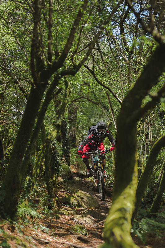 Nikon AF-Nikkor 80-200mm F2.8D ED sample photo. Riding the jungle photography