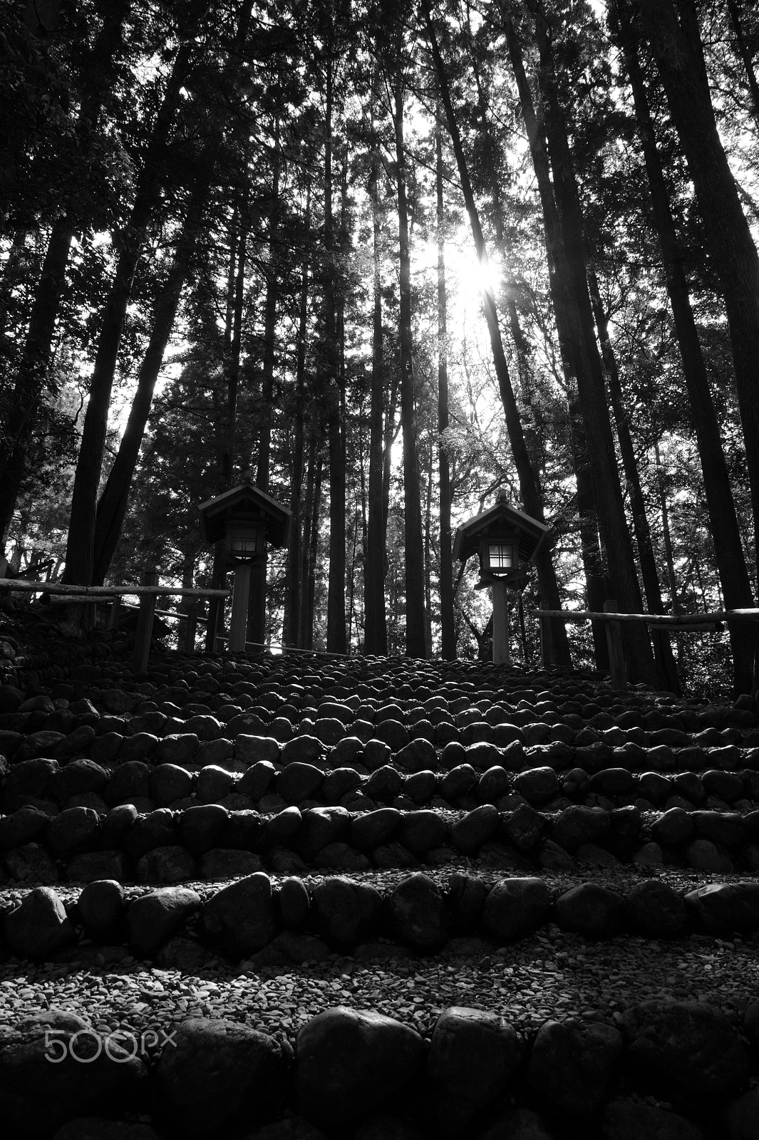Nikon D3S sample photo. Stone steps photography
