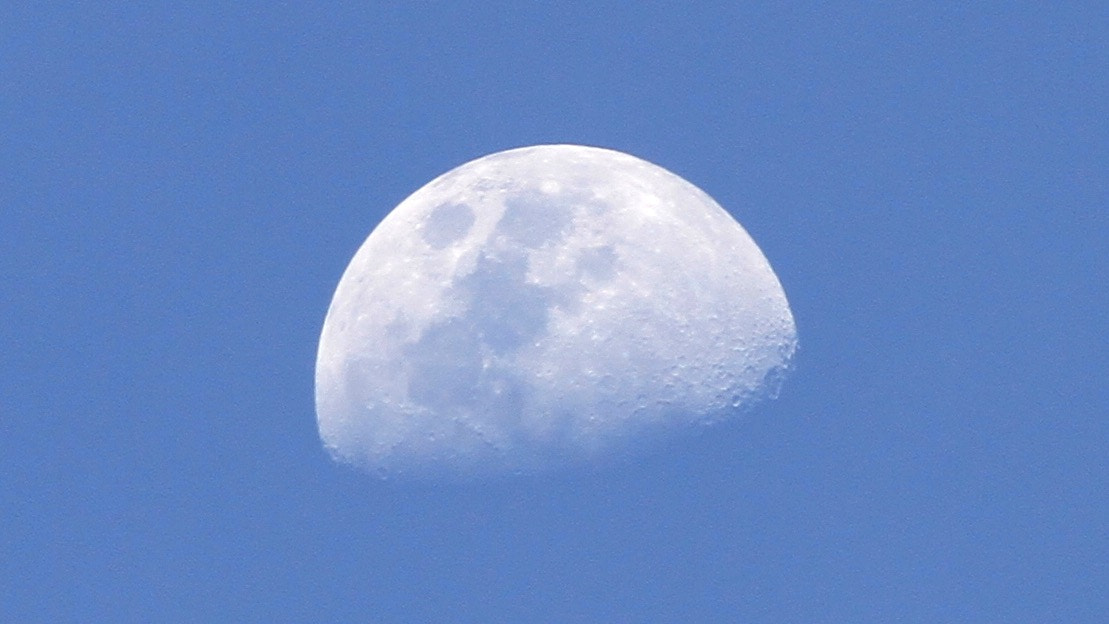 Canon EF-S 55-250mm F4-5.6 IS II sample photo. Captured her on the mid day she shines like a platinum always photography