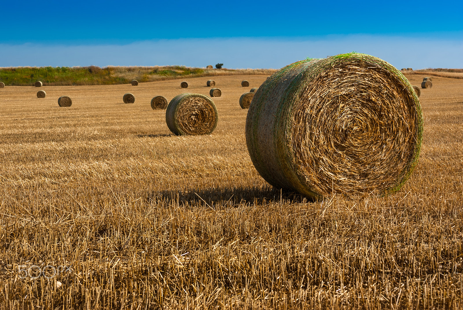Nikon AF-S Nikkor 28-70mm F2.8 ED-IF sample photo. Straw bales on farmland photography