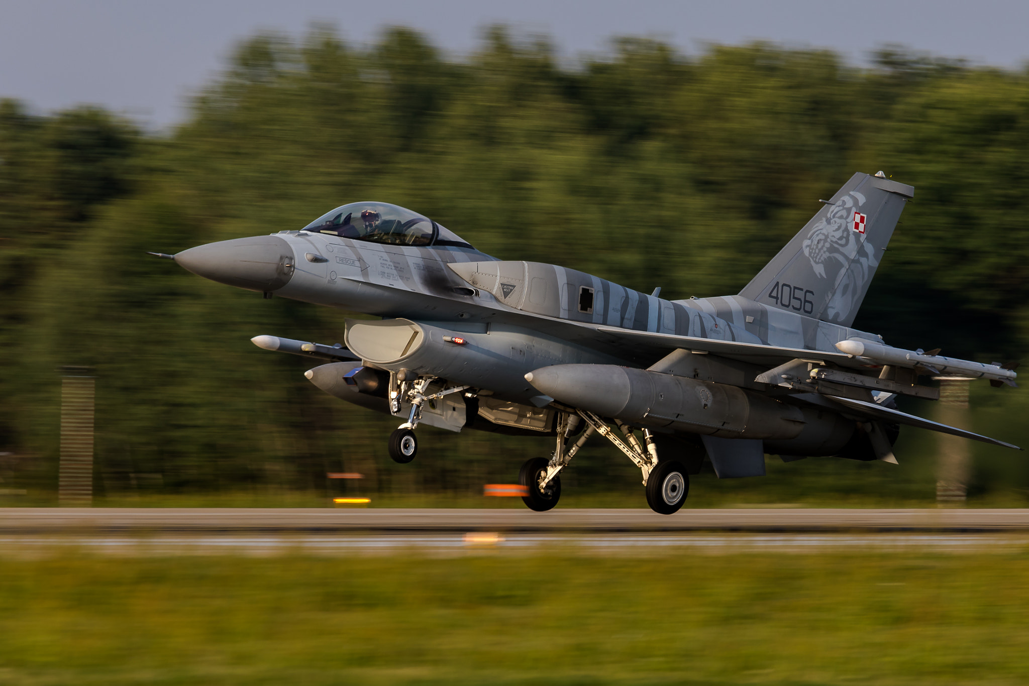 Canon EF 70-200mm F4L IS USM sample photo. Tiger landing photography