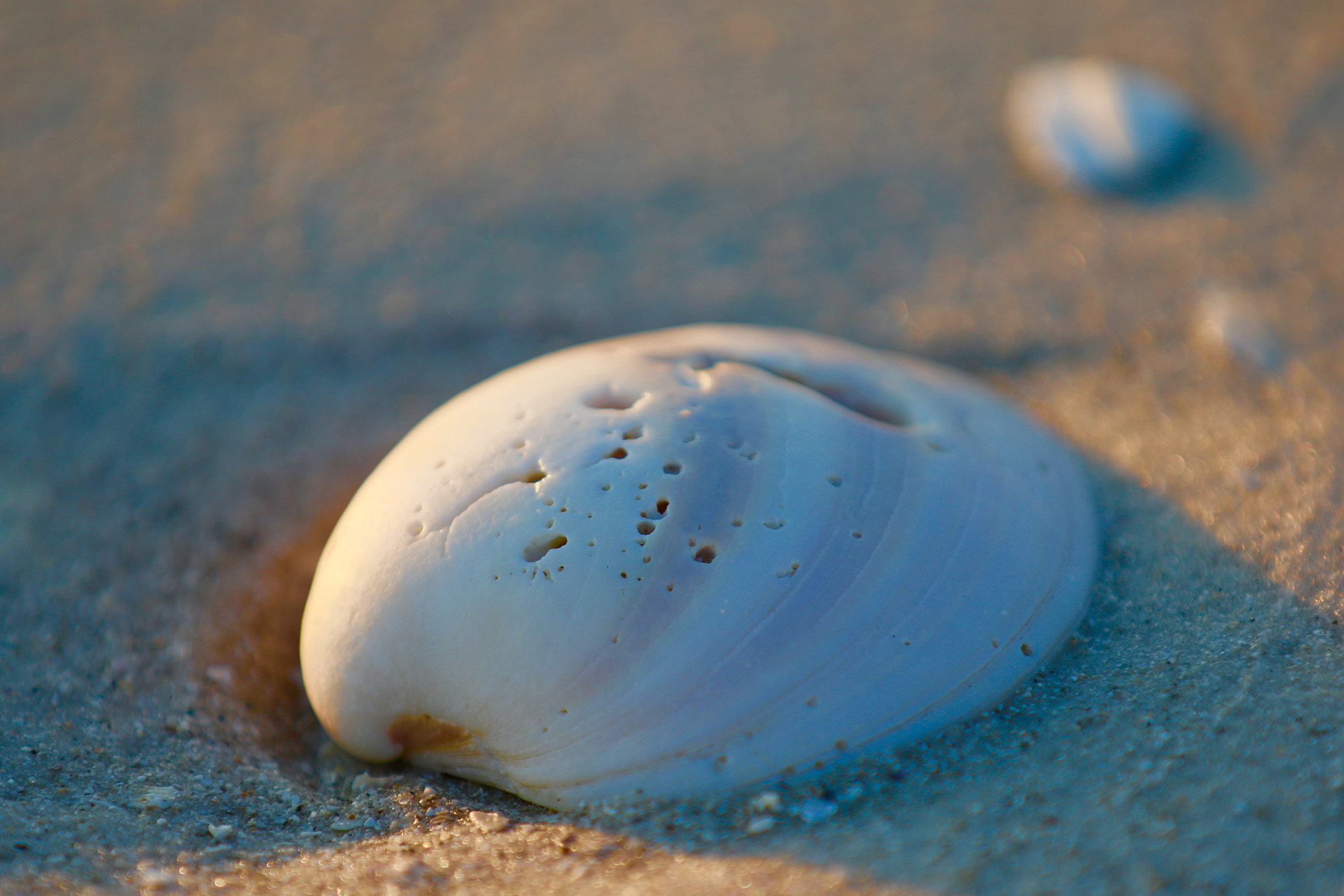 Canon EF 70-200mm F2.8L IS II USM sample photo. Image photography