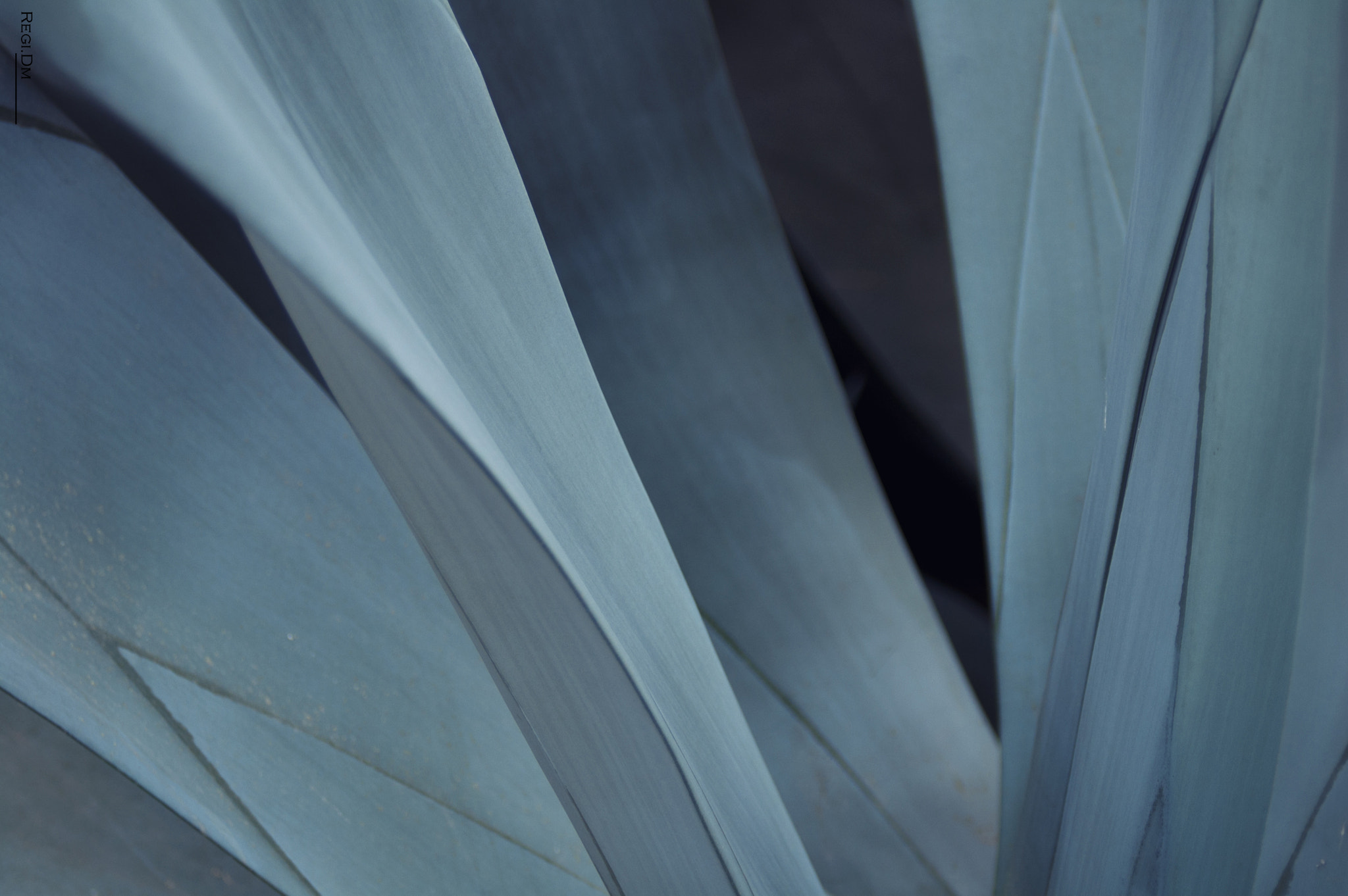 AF Zoom-Nikkor 28-80mm f/3.3-5.6G sample photo. Abstract photography