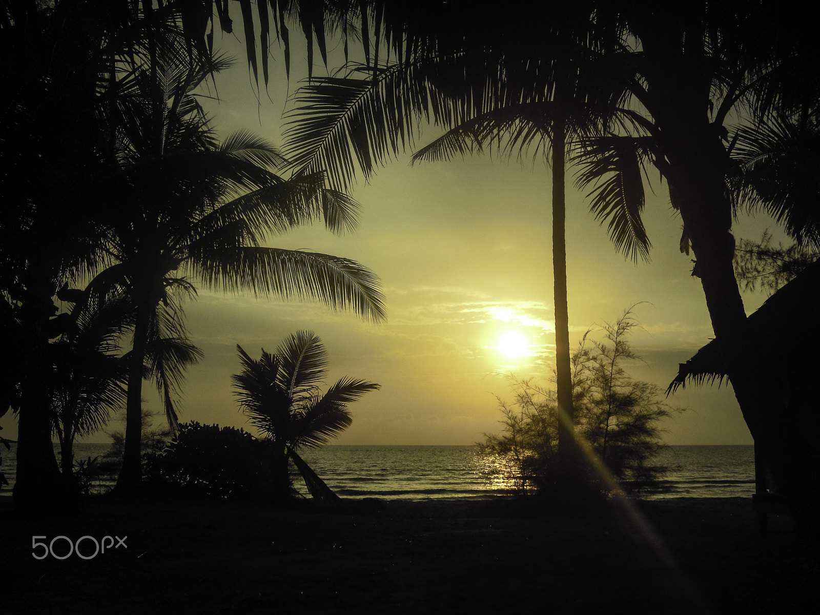 Nikon Coolpix S5100 sample photo. Idyllic sunset photography