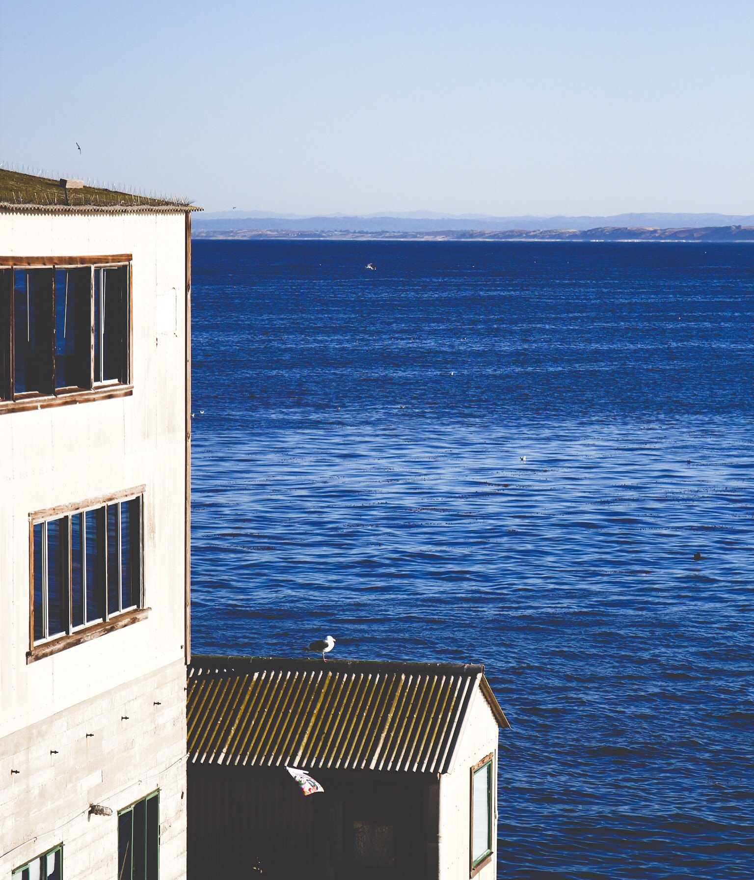 Canon EF 24-70mm F4L IS USM sample photo. Serene early morning by the monterey bay photography