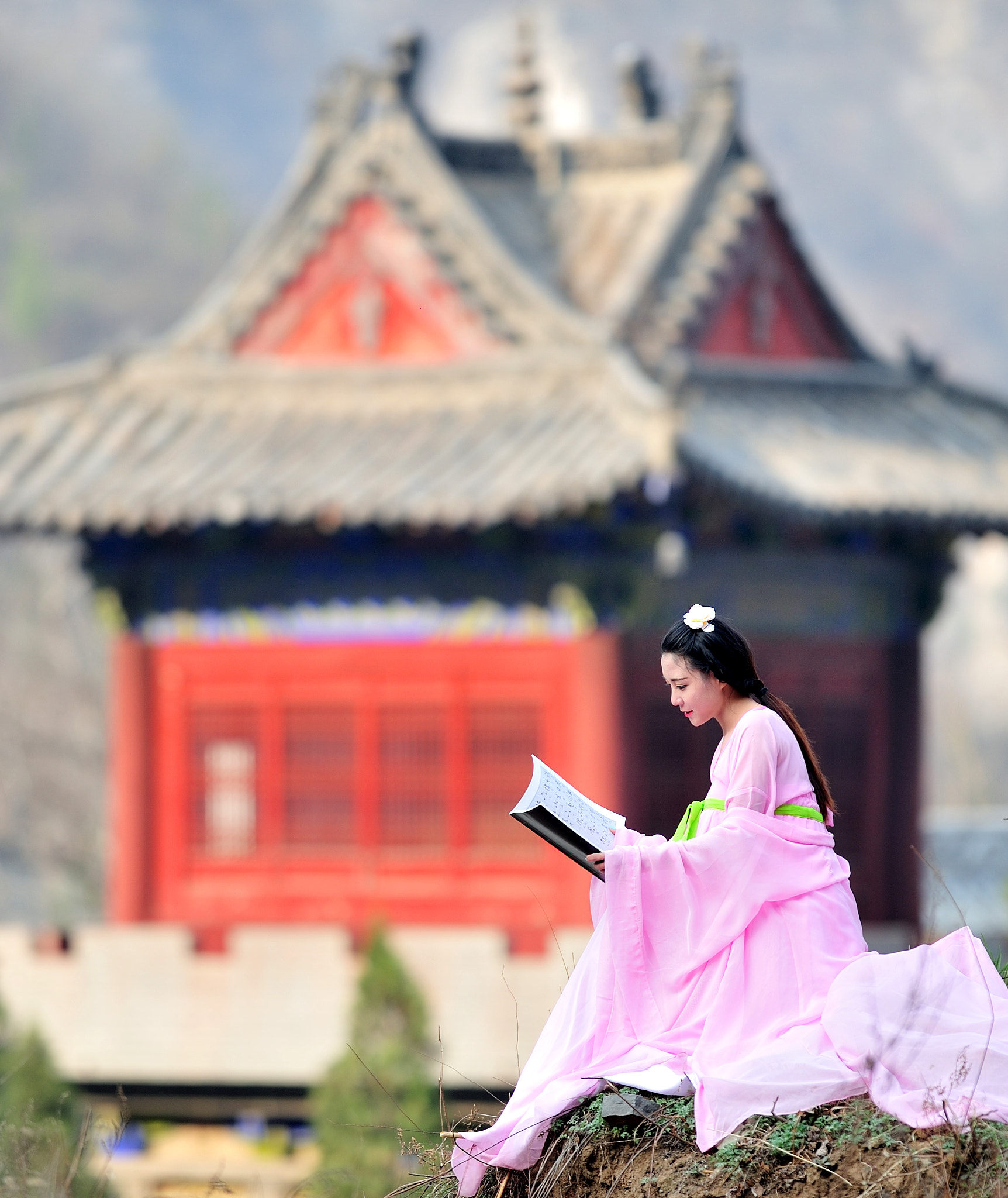 Nikon AF-S Nikkor 200mm F2G ED VR II sample photo