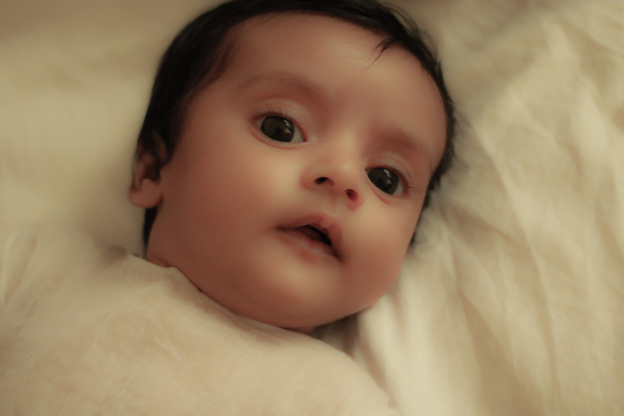 Canon EF 40mm F2.8 STM sample photo. 25864073413.jpg photography