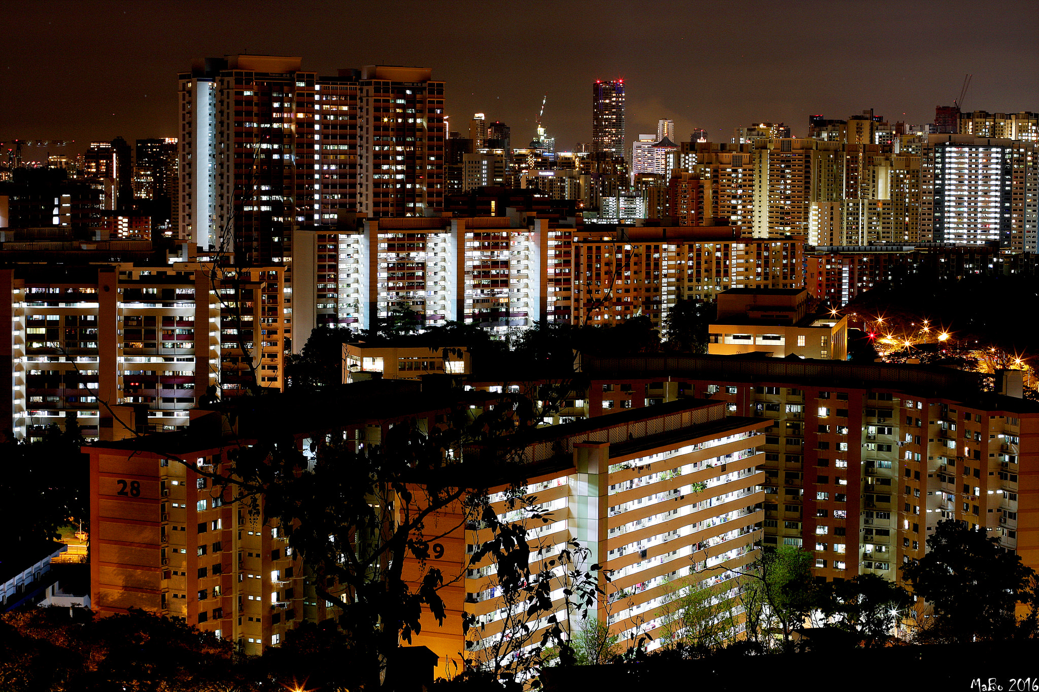 Canon EOS 40D + Canon EF 50mm F1.4 USM sample photo. Singapore.jpg photography