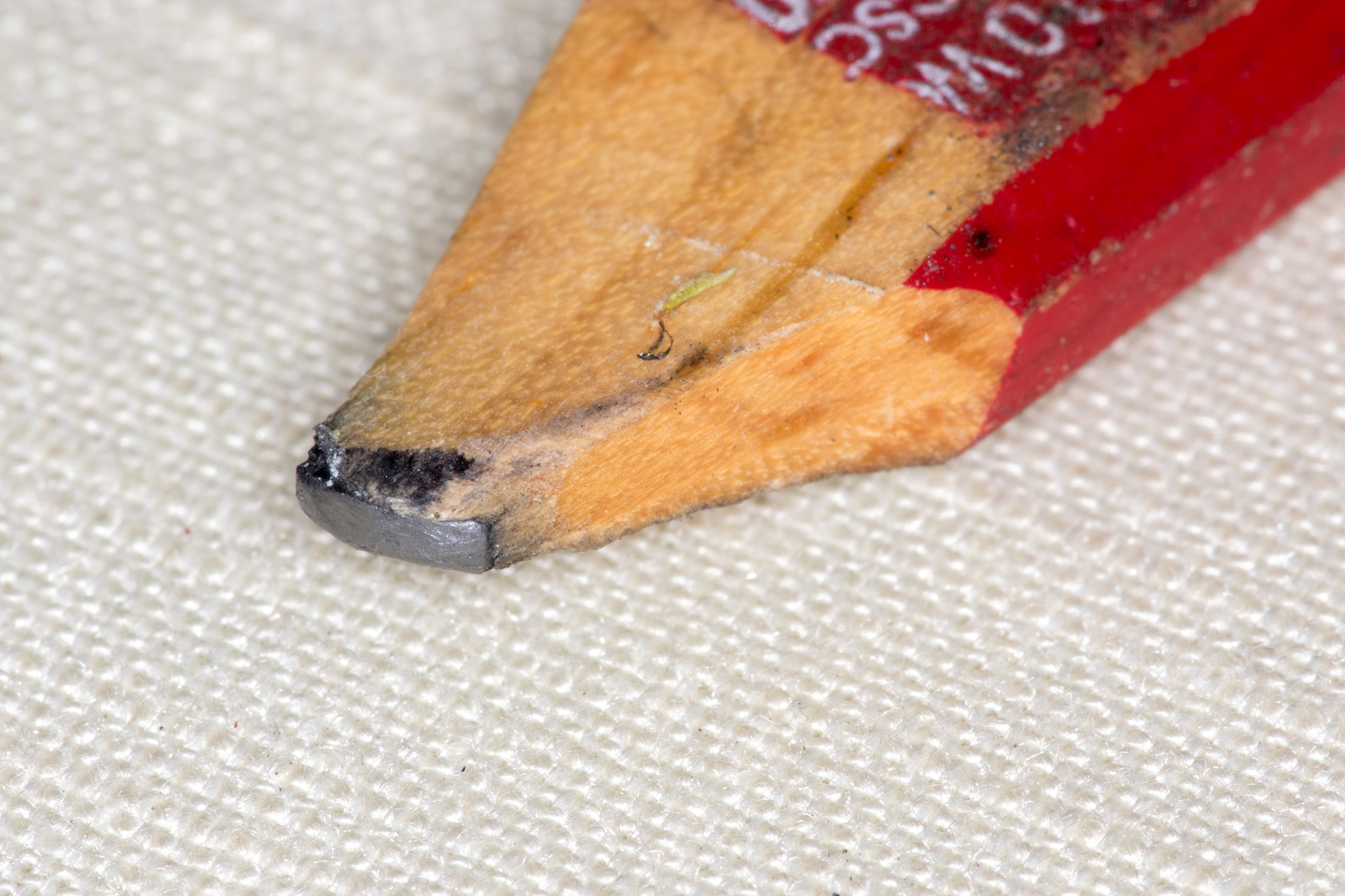 Canon EF 180mm F3.5L Macro USM sample photo. Macromania photography