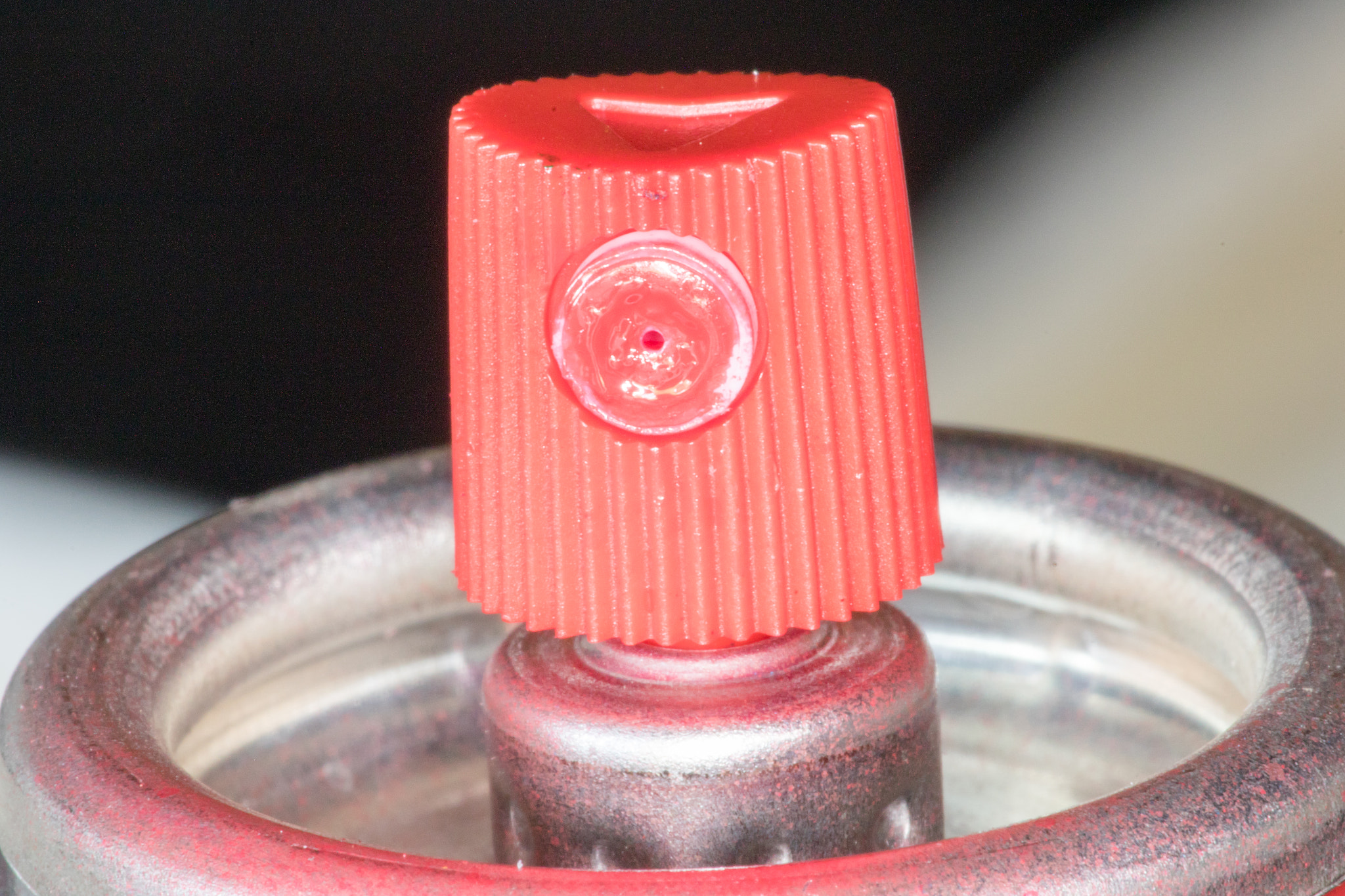 Canon EF 180mm F3.5L Macro USM sample photo. Macromania photography