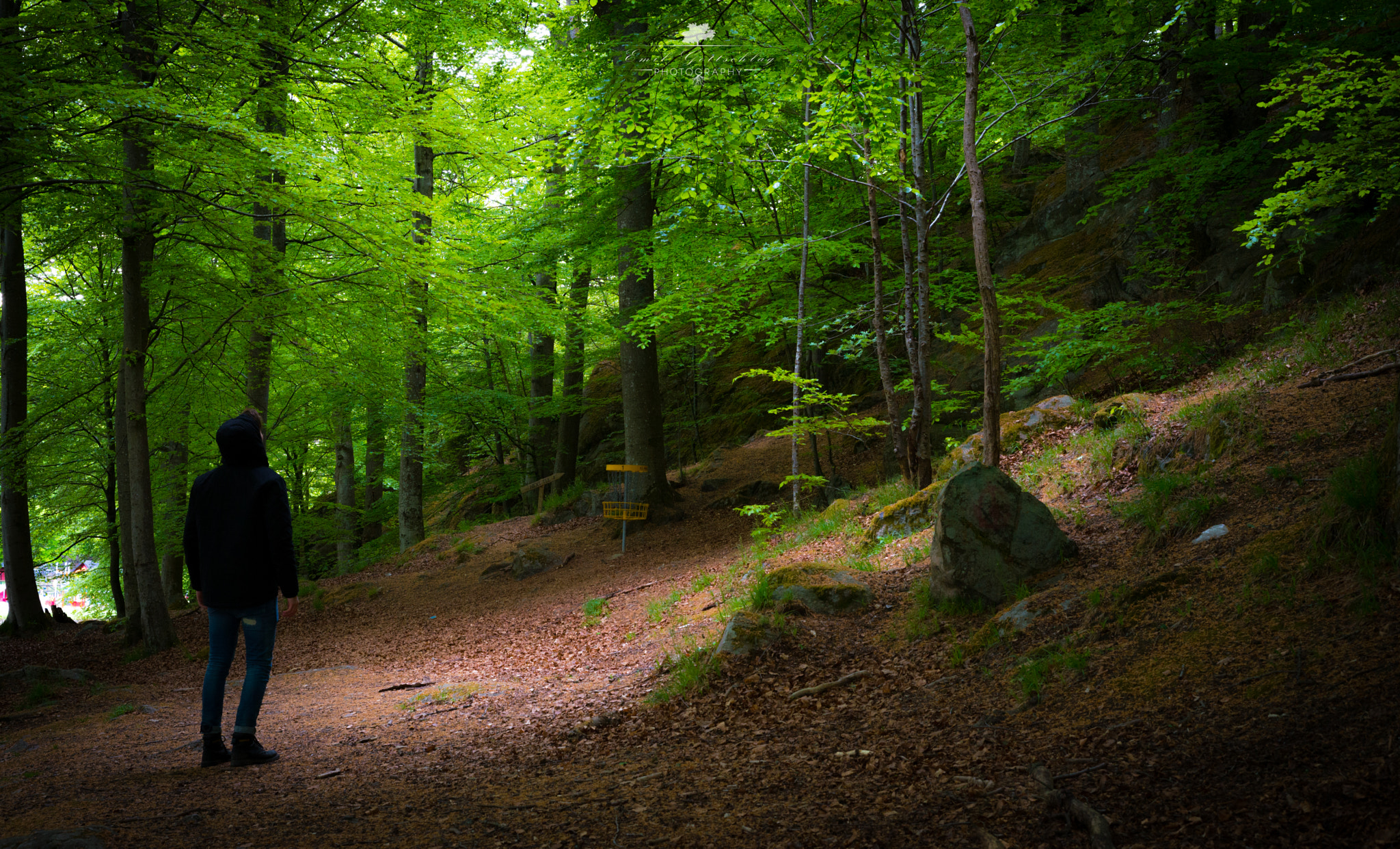 Nikon D600 + AF Nikkor 50mm f/1.8 sample photo. Deep down in the forest photography