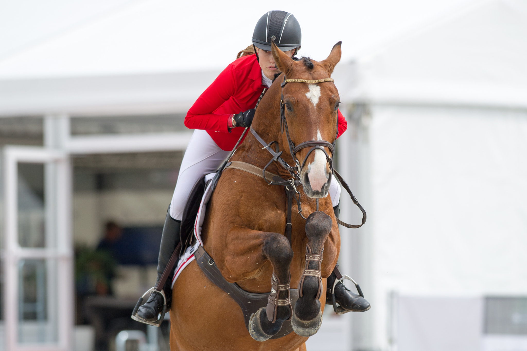 Nikon AF-S Nikkor 300mm F2.8G ED VR II sample photo. Showjumping photography