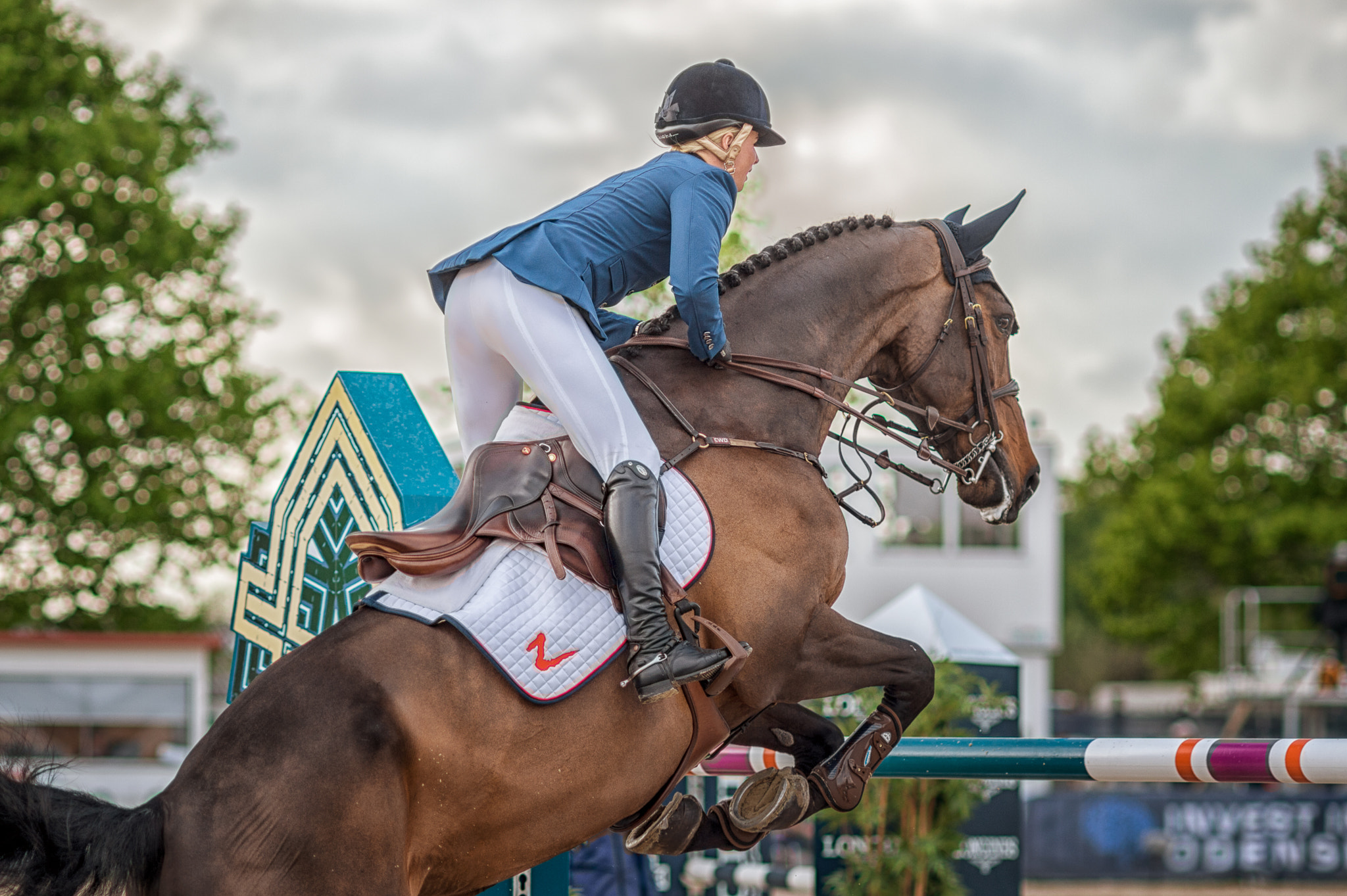 Nikon D4S + AF DC-Nikkor 135mm f/2D sample photo. Showjumper photography