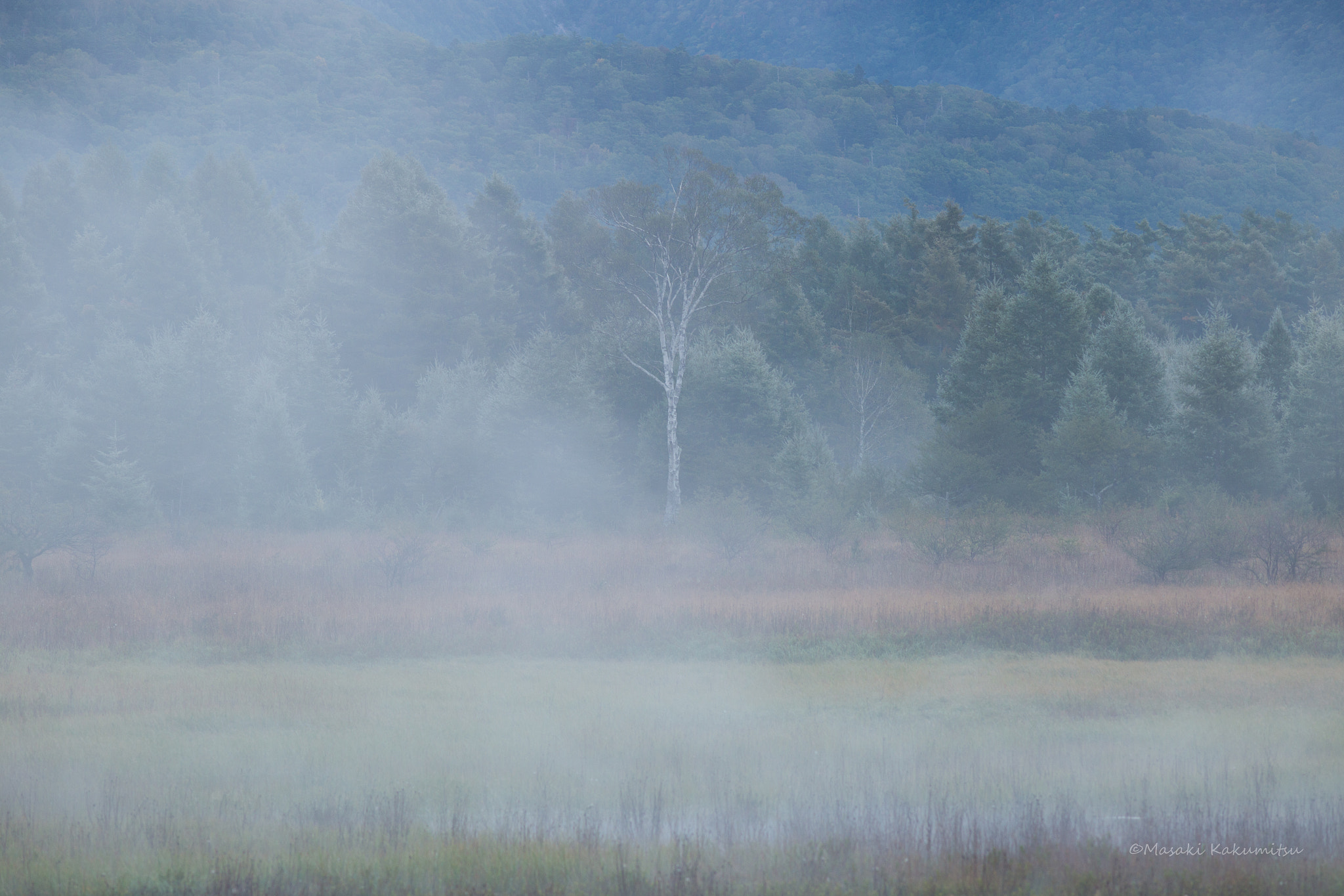 Canon EOS 6D + Canon EF 200mm f/2.8L sample photo. Lady in the morning fog photography