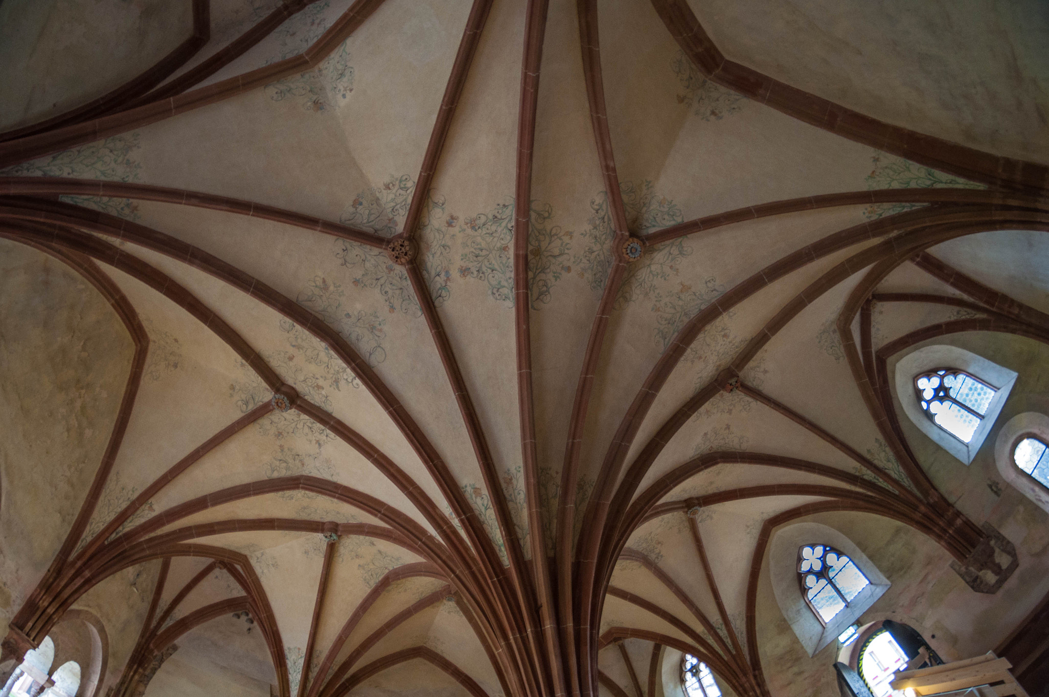 Nikon D5000 + Samyang 8mm F3.5 Aspherical IF MC Fisheye sample photo. Splendid room in kloster eberbach photography