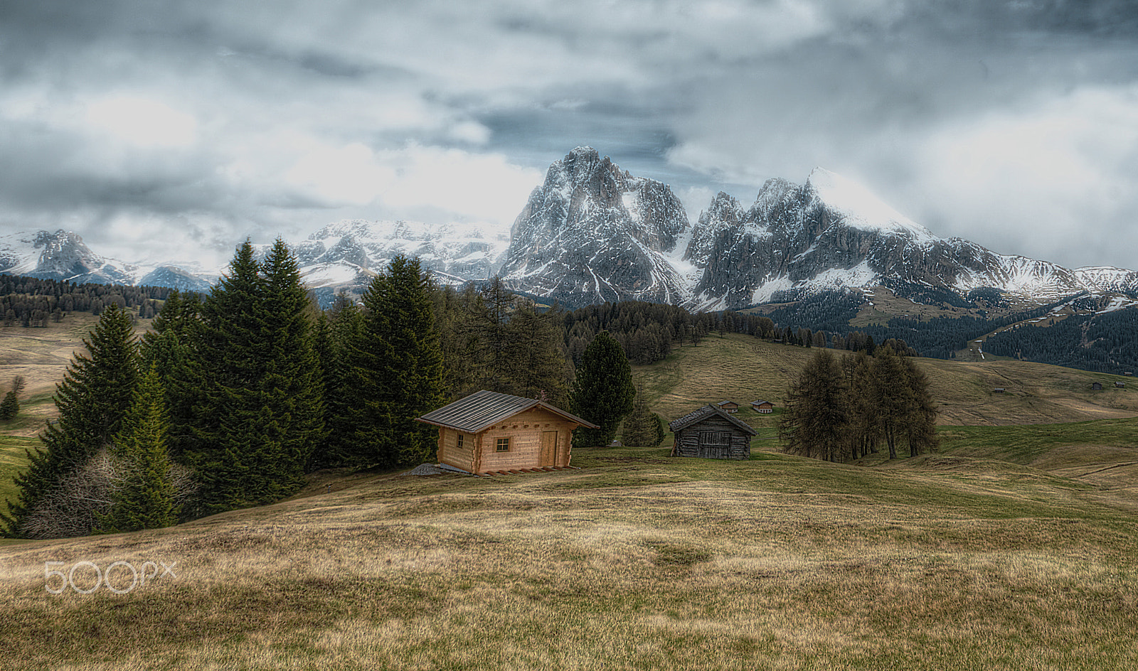Nikon D3X sample photo. Alpe di siusi photography