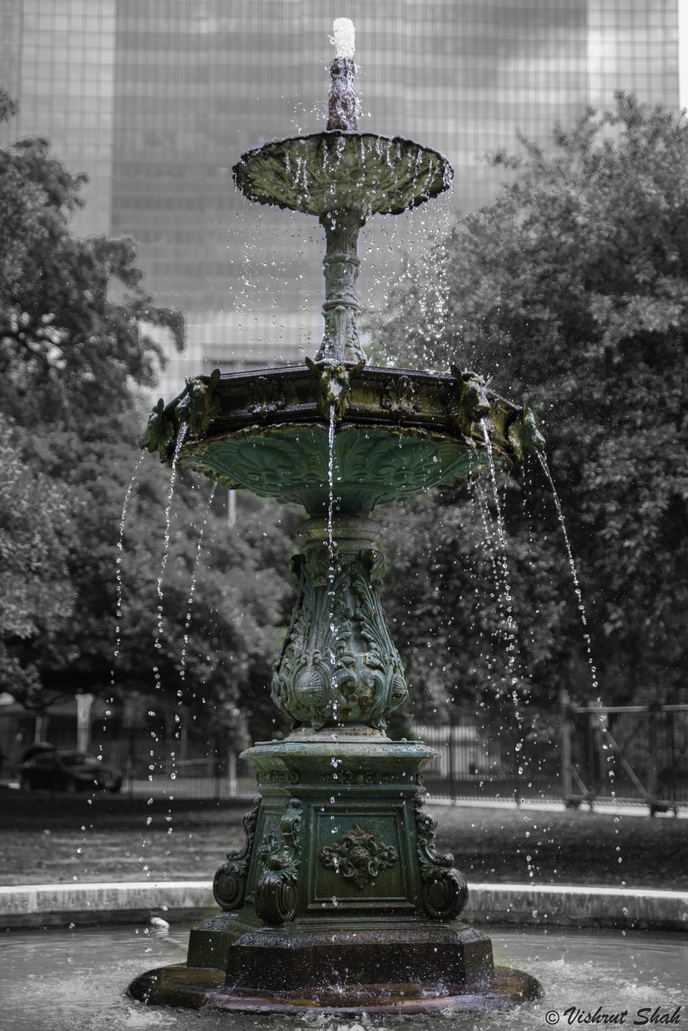 Nikon D600 sample photo. Bw photography