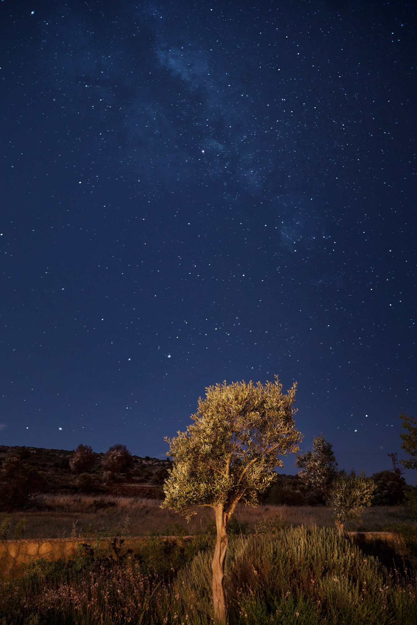 Sony a7S + Sony E 18-55mm F3.5-5.6 OSS sample photo. Night sky ii photography