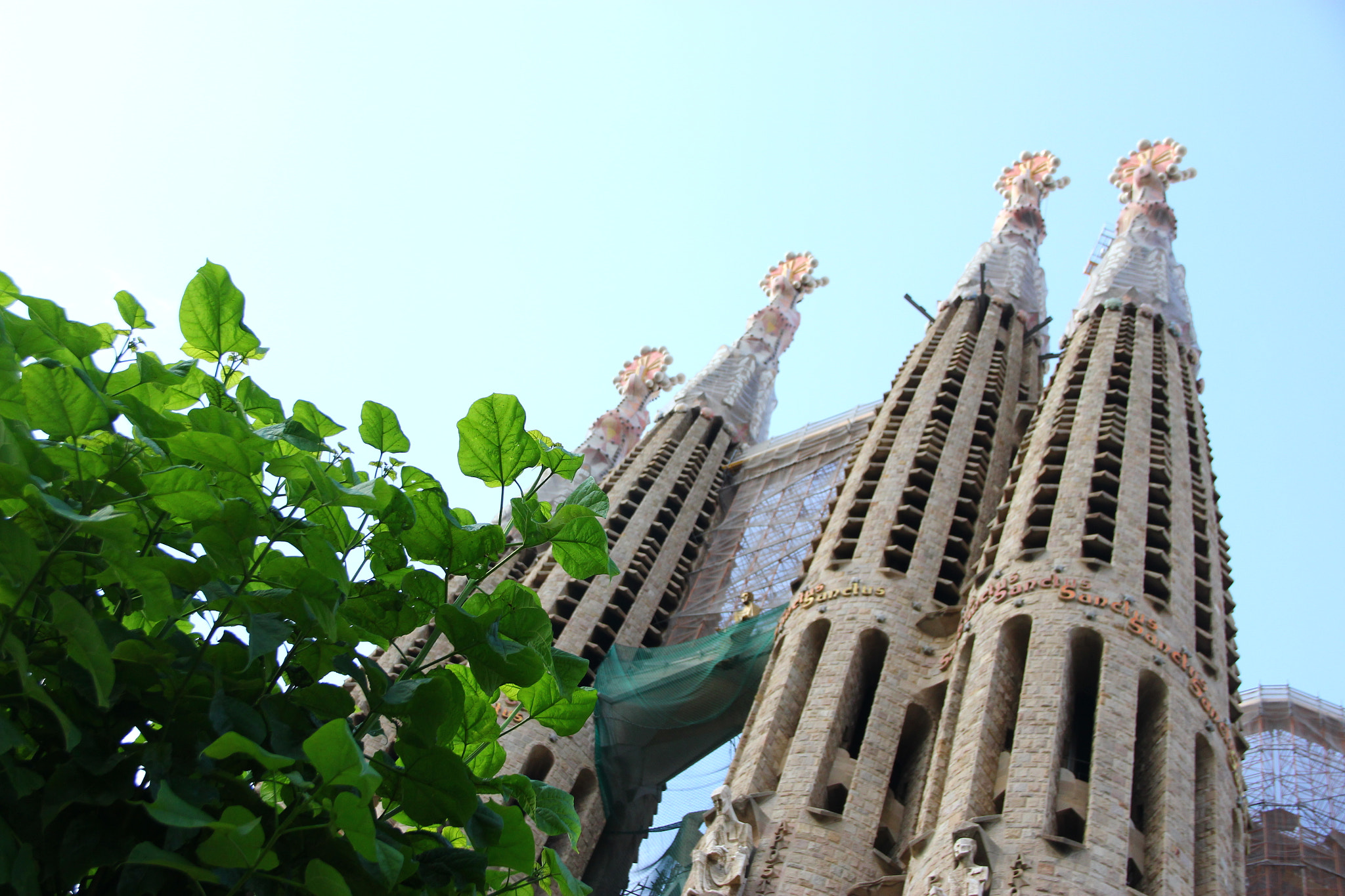 Canon EOS 550D (EOS Rebel T2i / EOS Kiss X4) + Canon EF 50mm f/1.8 sample photo. La sagrada família photography