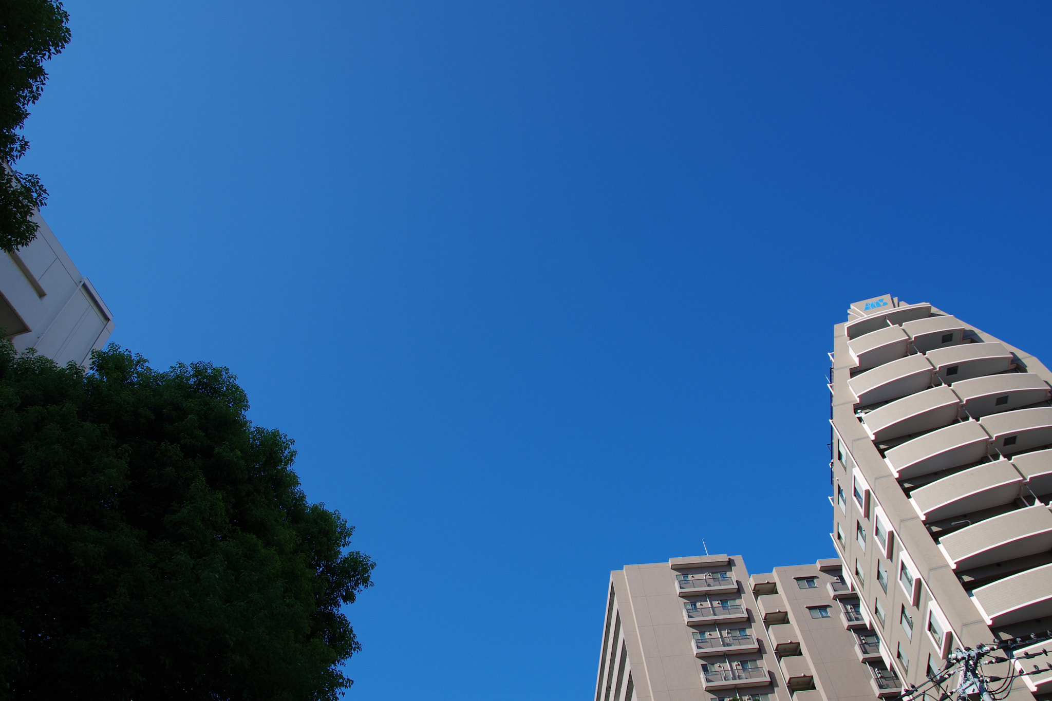 Pentax K-5 sample photo. 130827_matsudo photography