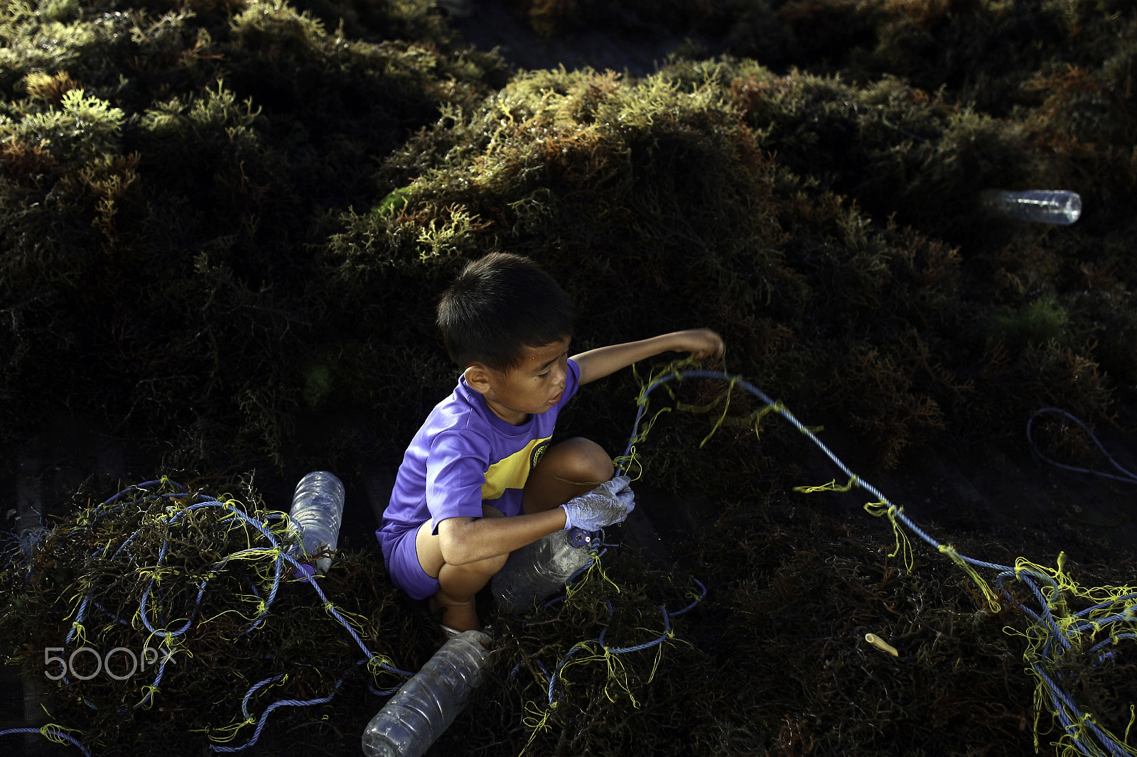 Canon EOS 50D + Canon EF 24mm F1.4L II USM sample photo. Seaweed child photography