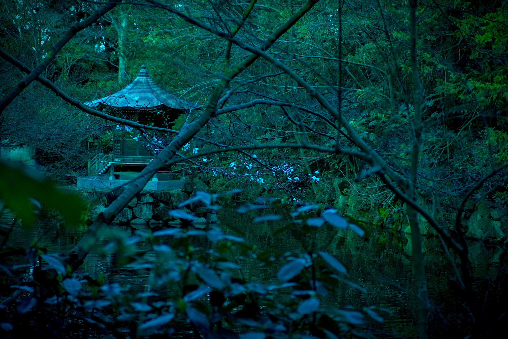 Canon EOS 700D (EOS Rebel T5i / EOS Kiss X7i) sample photo. Sakura temple photography