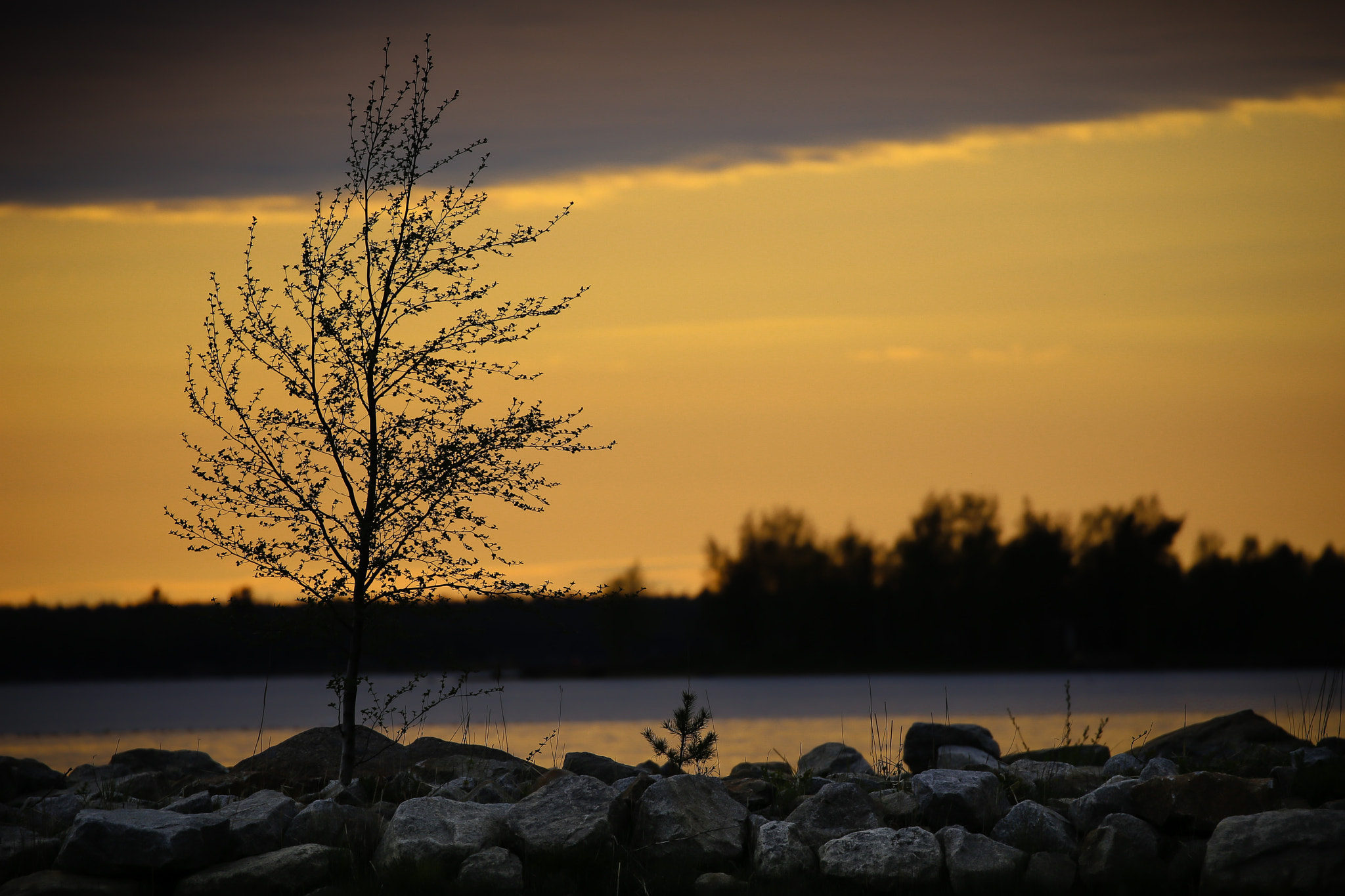 Canon EF 100-400mm F4.5-5.6L IS II USM sample photo