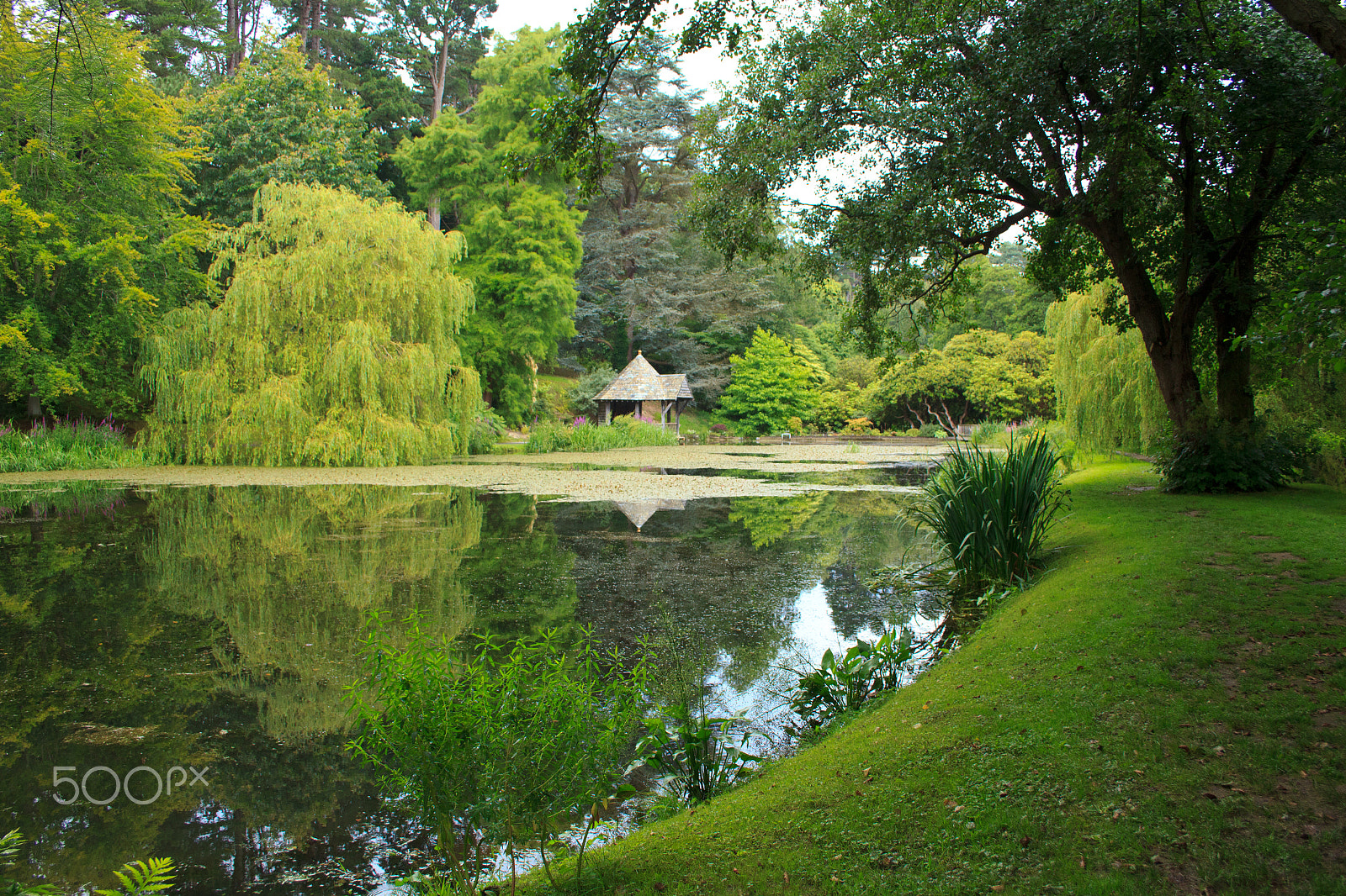 Canon EF-S 18-55mm F3.5-5.6 sample photo. Peace and tranquility photography
