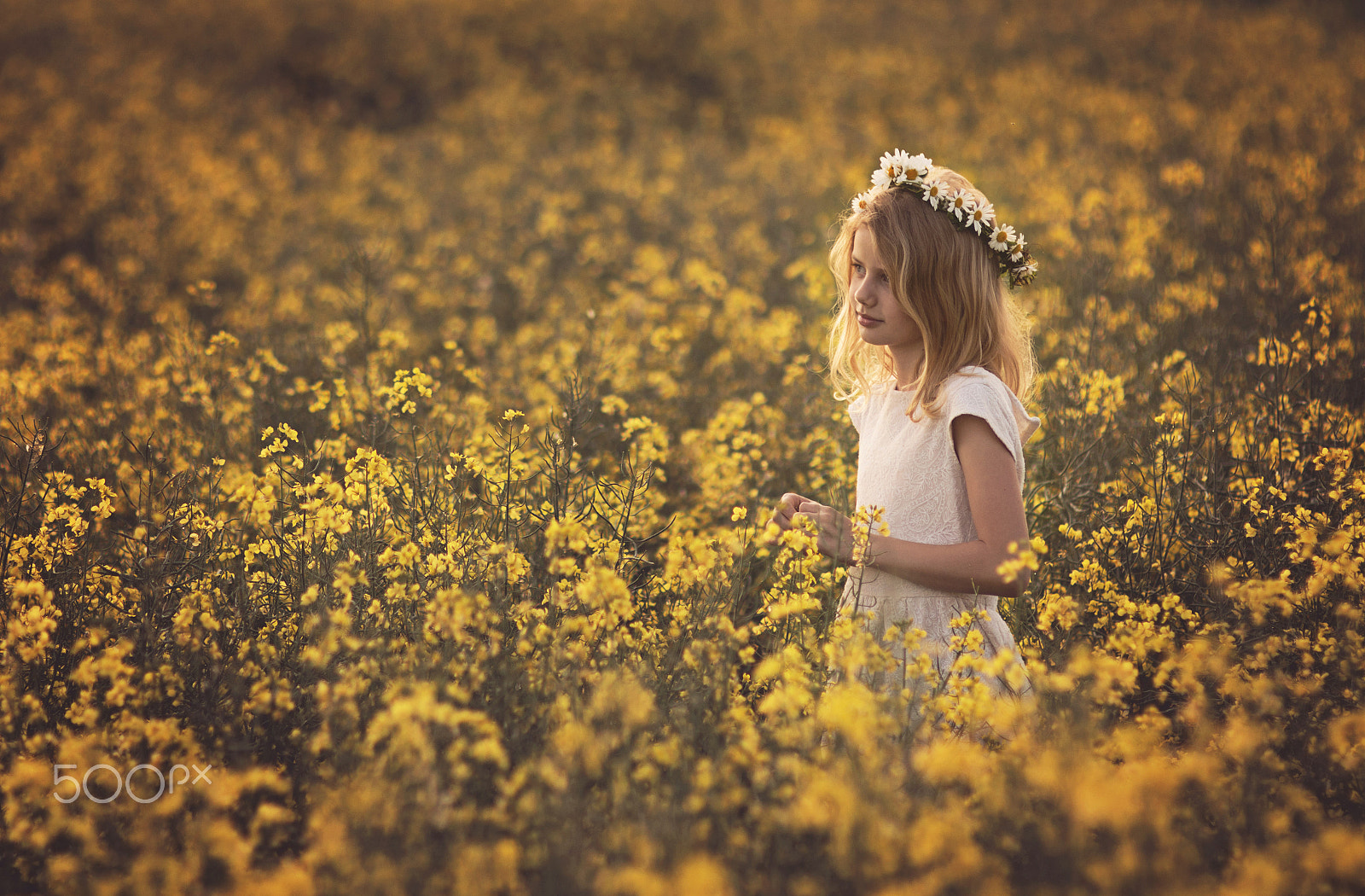 Sigma 85mm F1.4 EX DG HSM sample photo. A girl in a field of flowers photography
