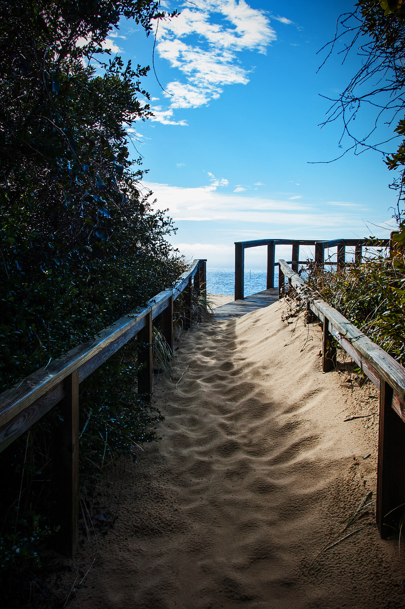 Nikon D40 sample photo. Come on in . . . photography