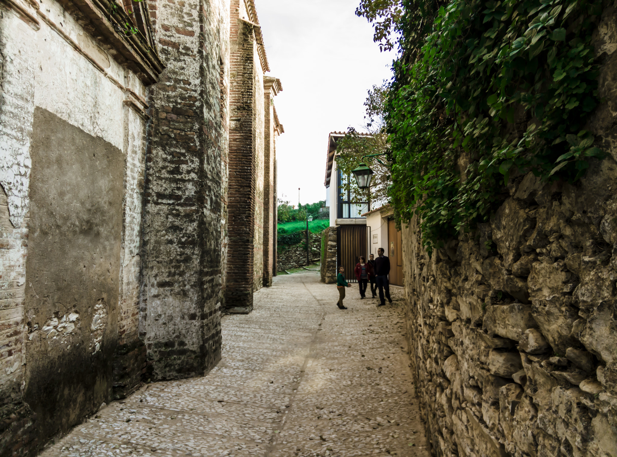 OnePlus One A0001 sample photo. Fuenteheridos photography