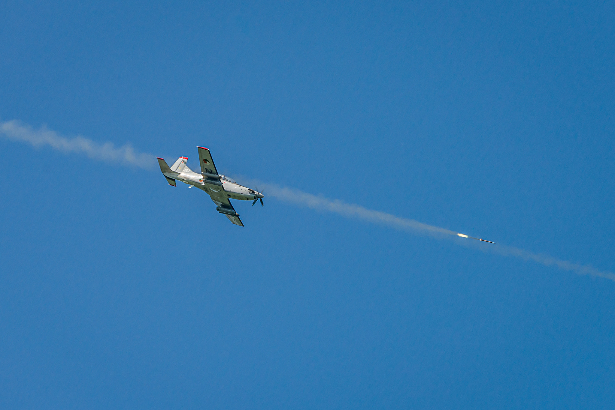 Nikon AF-S Nikkor 200-500mm F5.6E ED VR sample photo. Edit photography