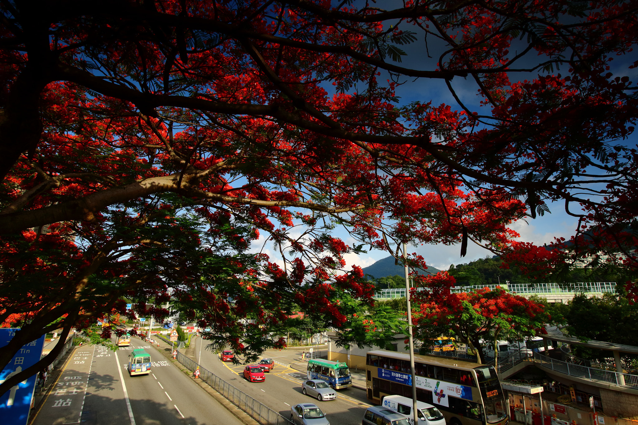 Canon EF-S 10-18mm F4.5–5.6 IS STM sample photo