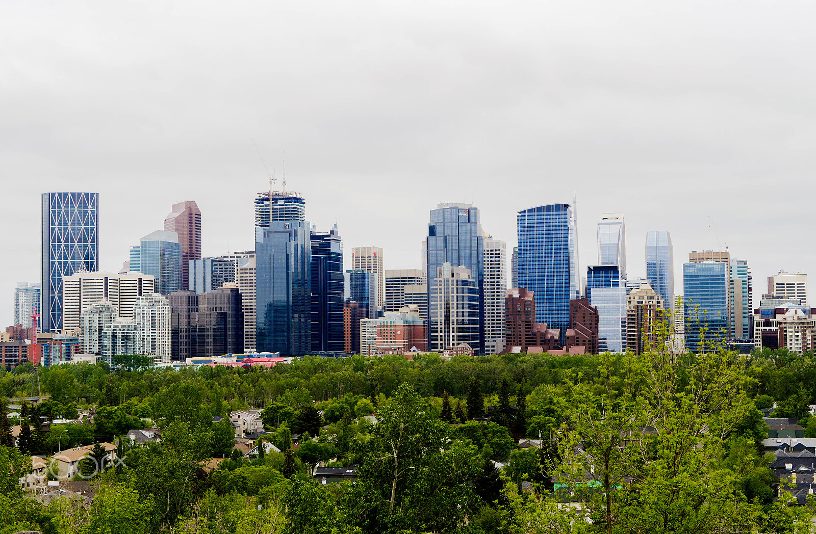 Panasonic Lumix DMC-GX8 + LUMIX G 25/F1.7 sample photo. Crescent heights calgary photography