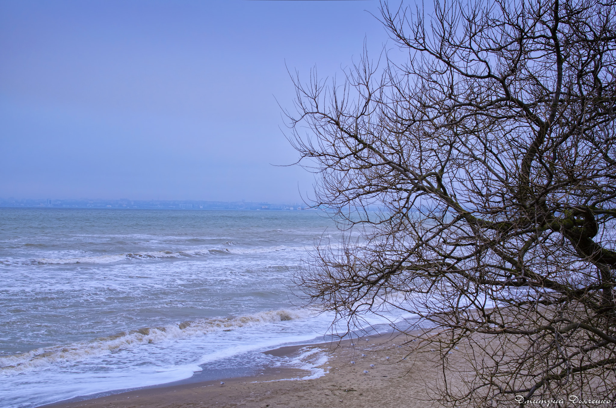 Sigma 18-50mm F2.8-4.5 DC OS HSM sample photo. Dsc_0011.jpg photography
