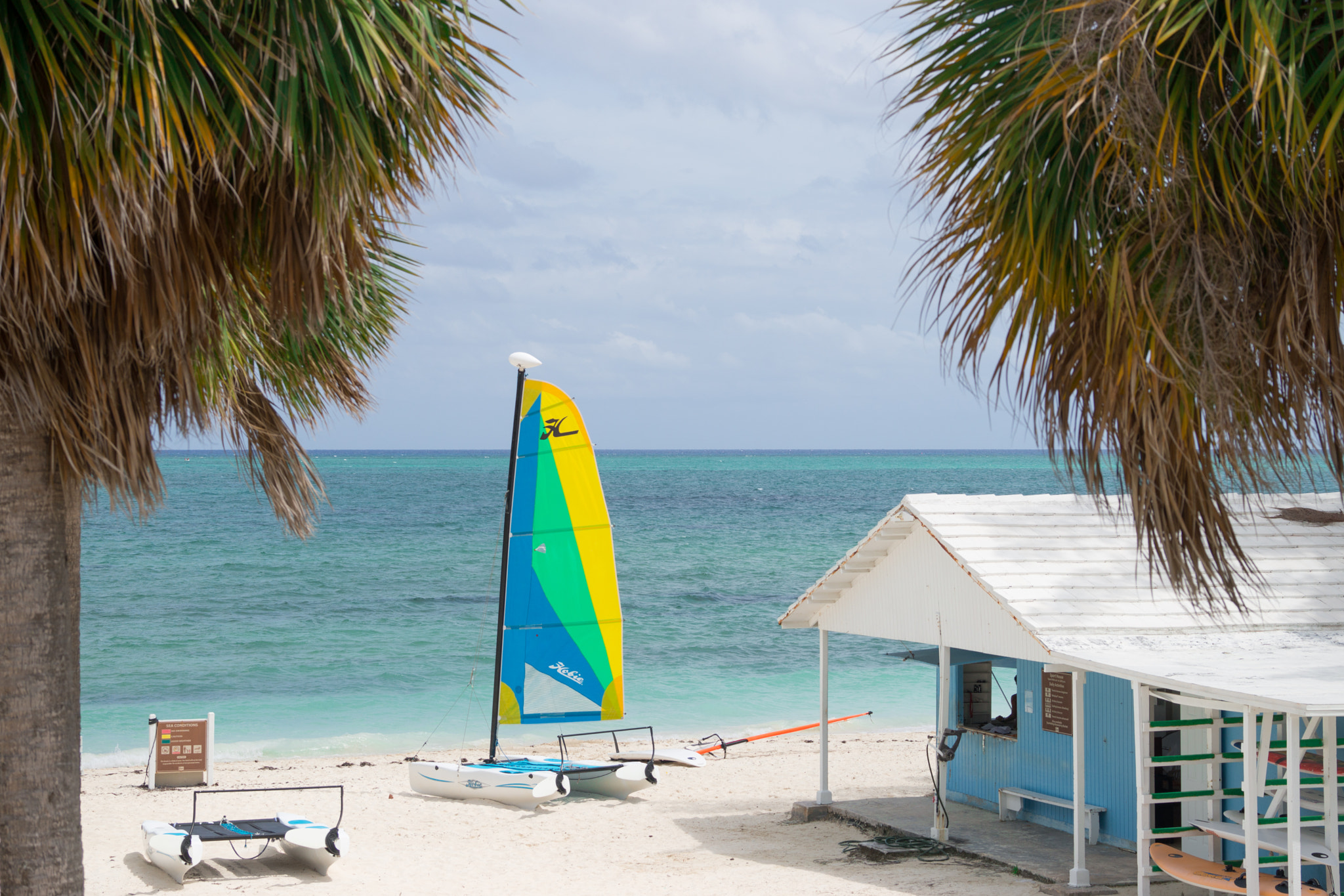 Sony 70-300mm F4.5-5.6 G SSM sample photo. Freeport bahamas photography