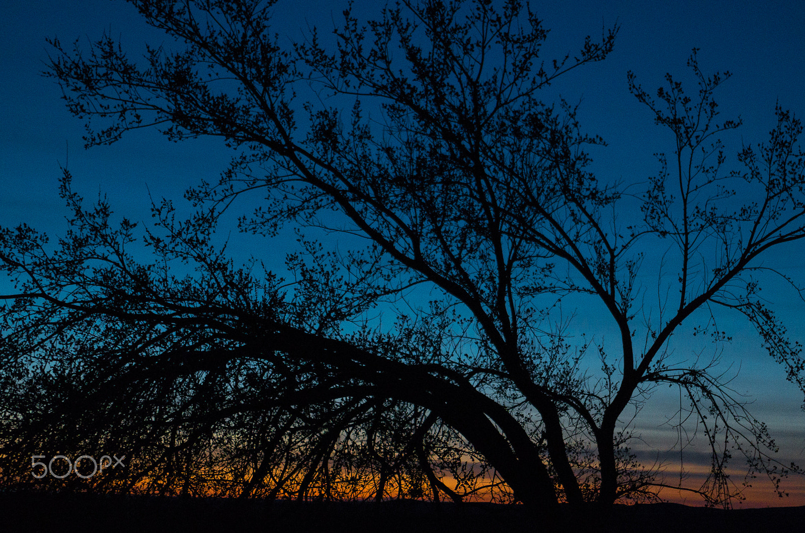 Pentax K-50 + Pentax smc DA 16-45mm F4 ED AL sample photo. Medhat sunrise photography