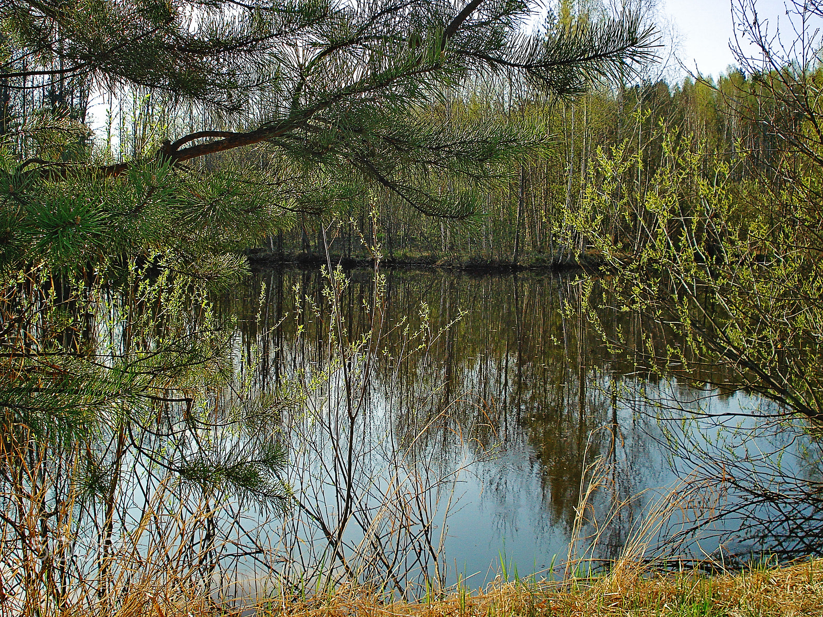 Sony DSC-W70 sample photo. Early spring landscape with pond photography