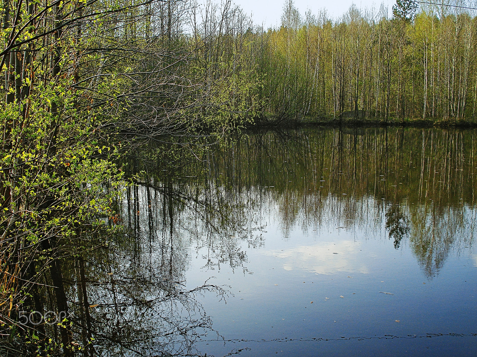 Sony DSC-W70 sample photo. Early spring landscape with water reflections photography