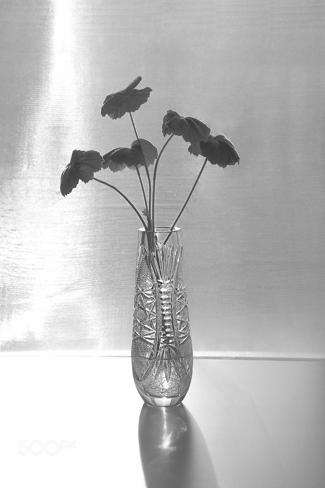 Sony DSC-W70 sample photo. This black and white photo shows beauty of crystal vase emphasized with light photography