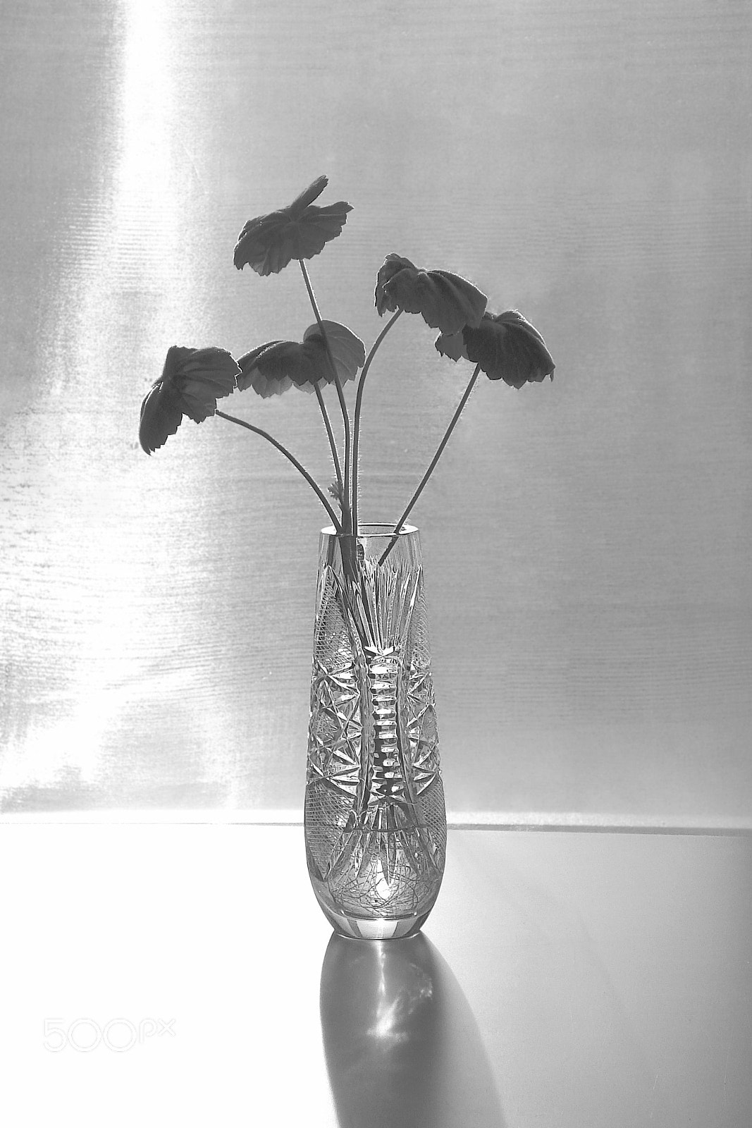 Sony DSC-W70 sample photo. This black and white photo shows beauty of crystal vase emphasized with light photography