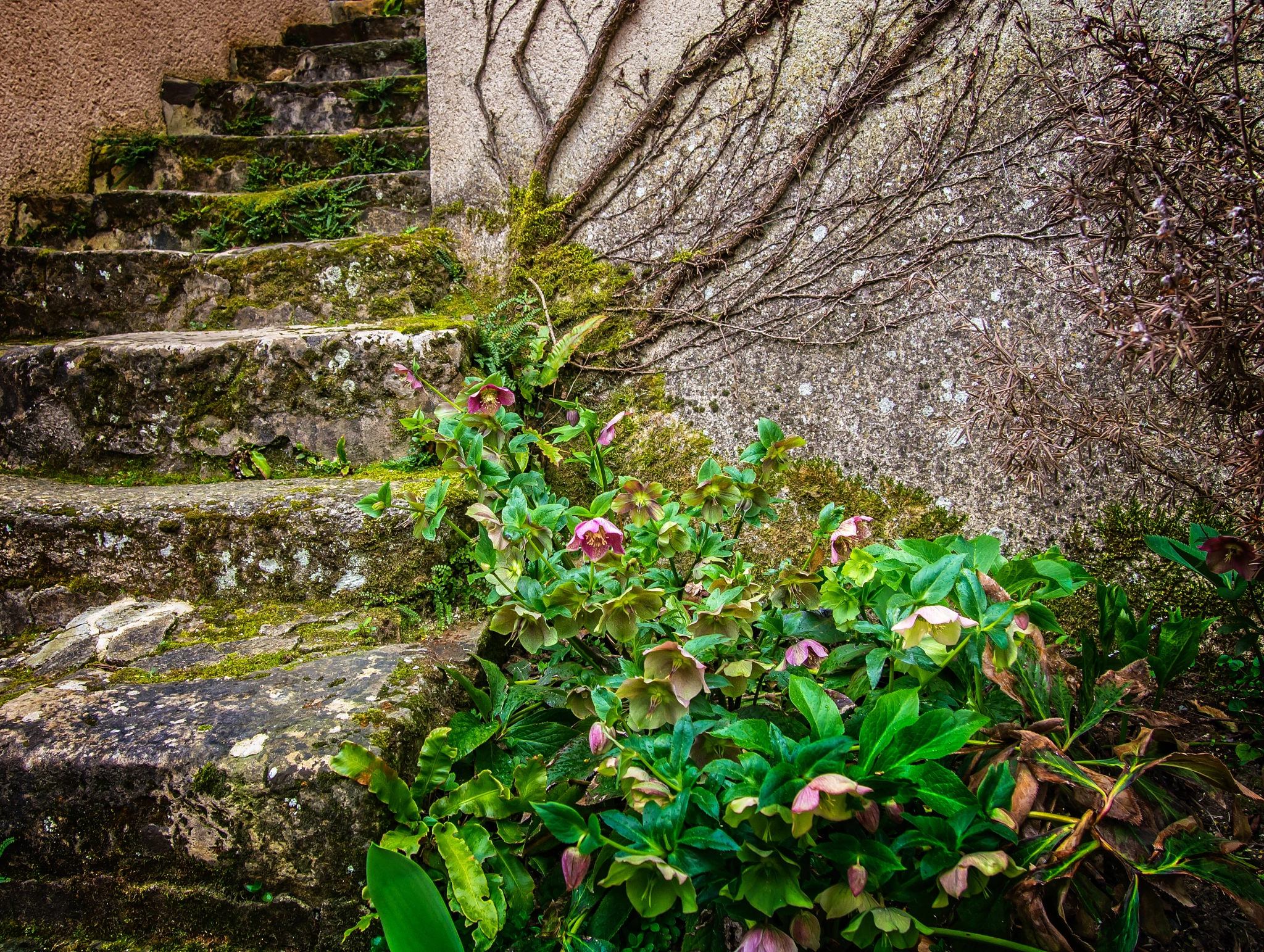 Olympus PEN E-P3 sample photo. Village stairs photography