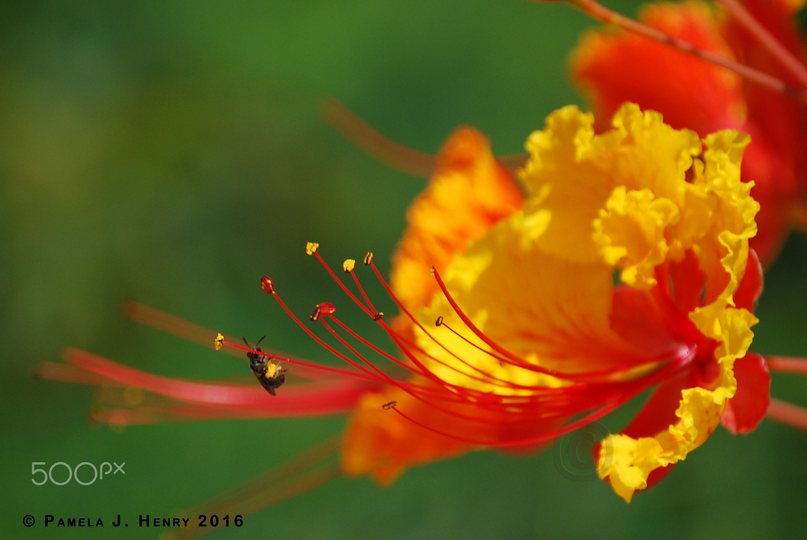 Nikon D80 sample photo. Tiny worker photography