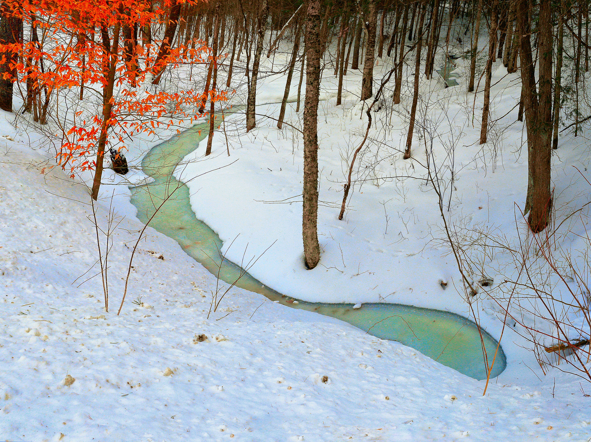 Canon EOS-1D X + Canon EF 35mm F1.4L USM sample photo. Panorama stream in winter photography